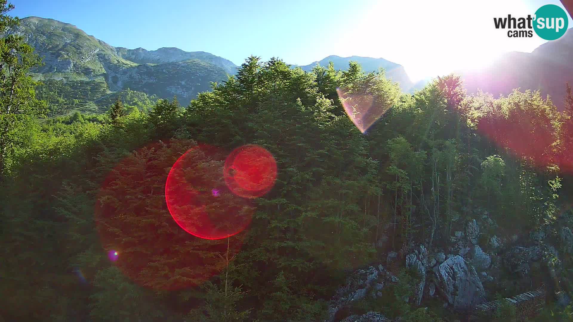PLANINA RAZOR kamera (1315) | pogled na Vogel in Globoko