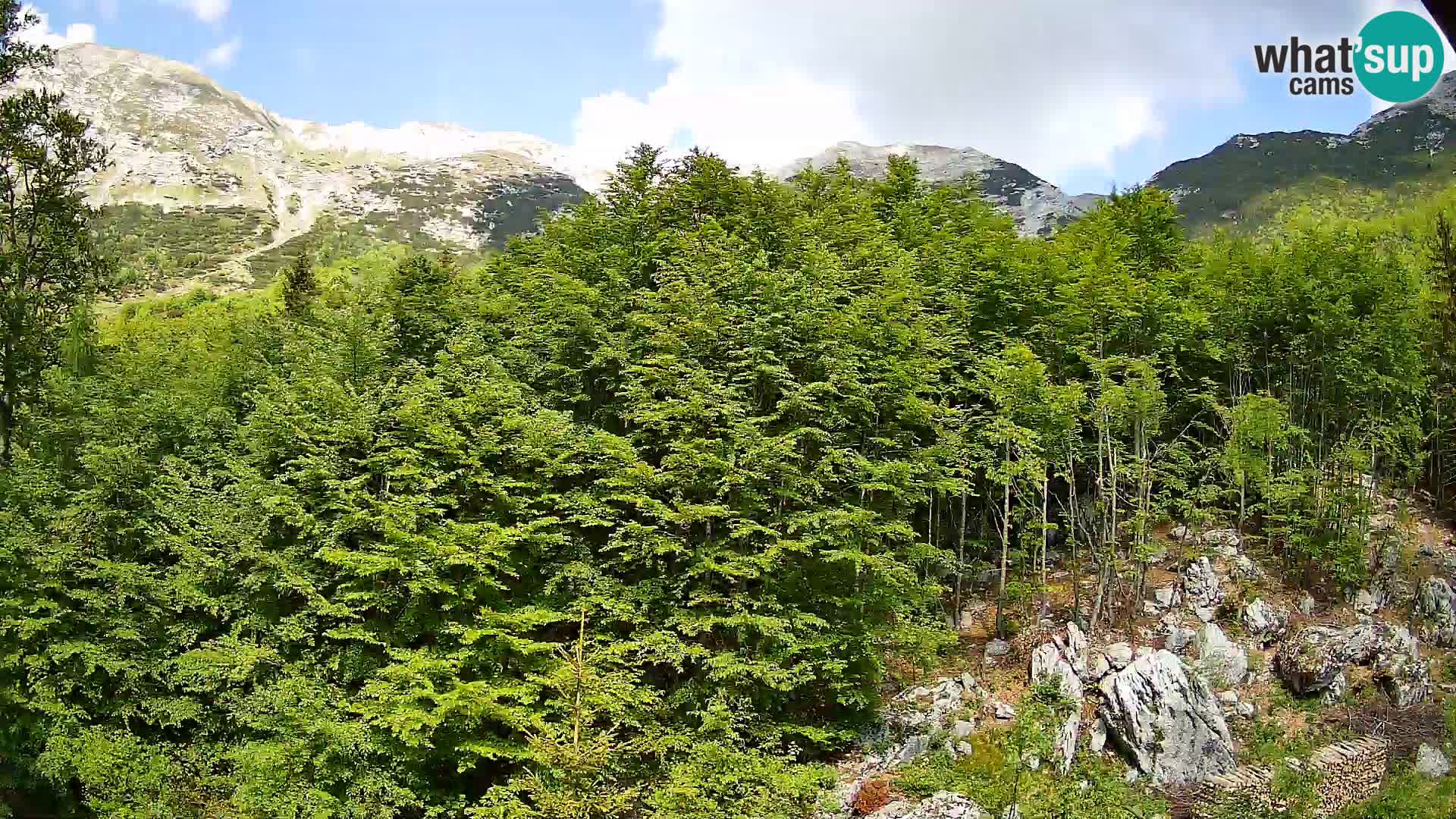 PLANINA RAZOR webcam (1315) | view to Vogel and Globoko