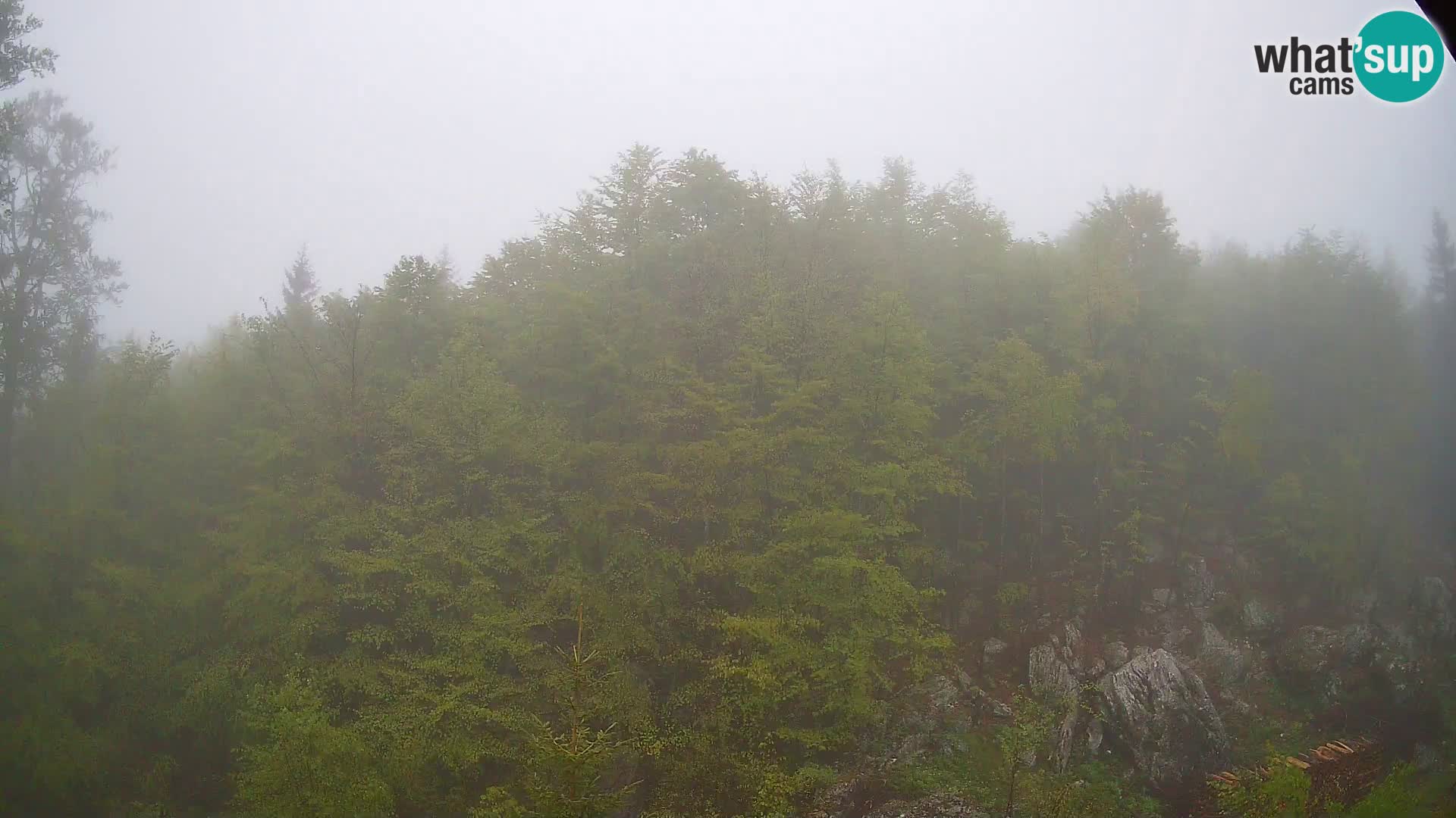 PLANINA RAZOR kamera (1315) | pogled na Vogel in Globoko