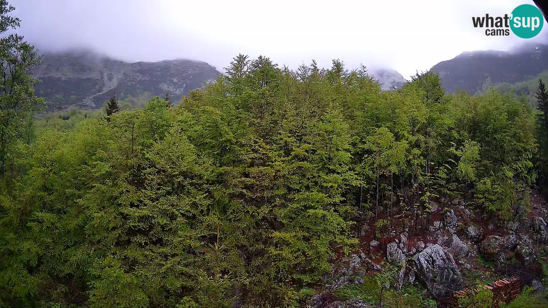 PLANINA RAZOR webcam (1315) | view to Vogel and Globoko