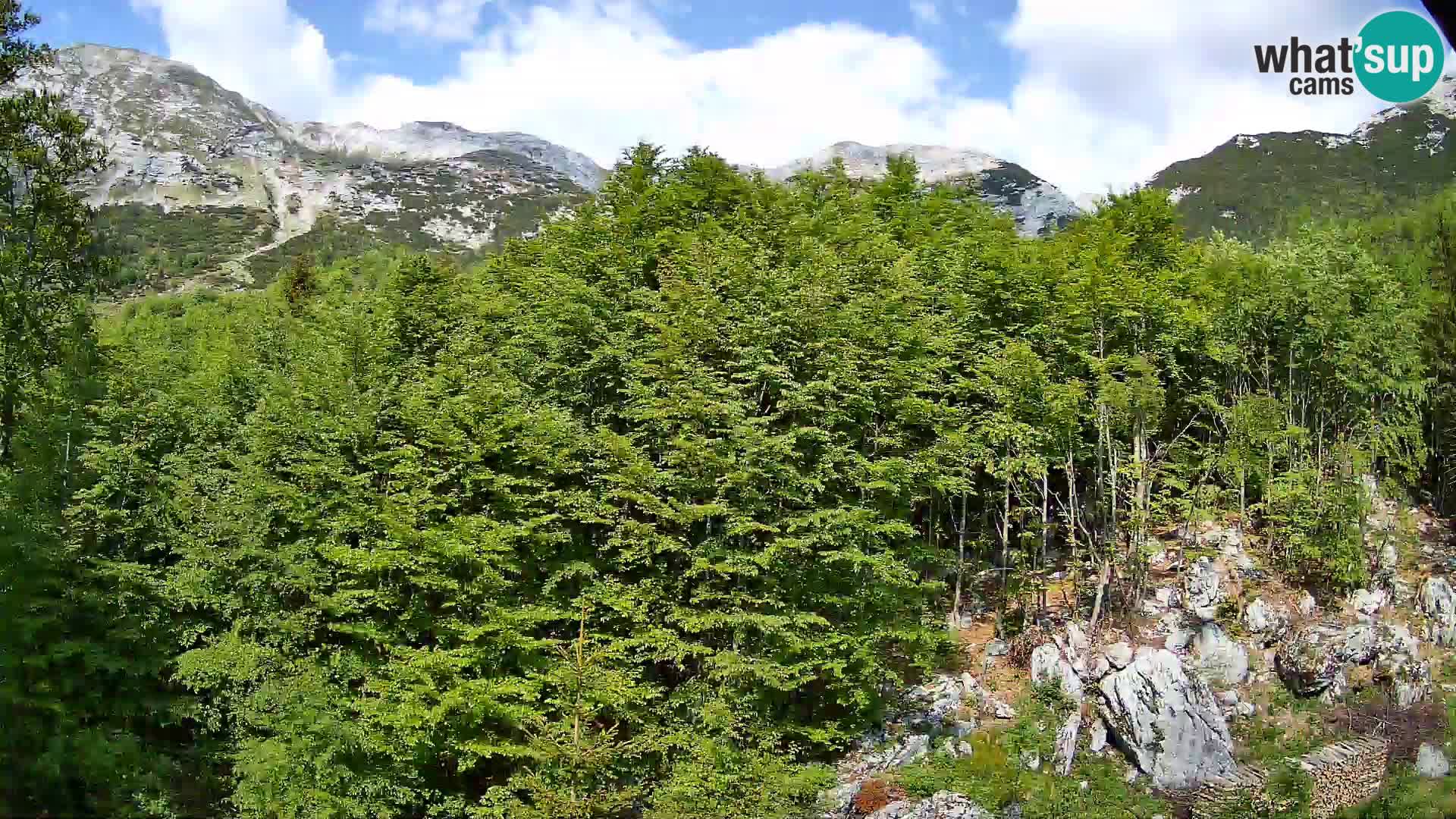 Cámara web PLANINA RAZOR (1315) | vista a Vogel y Globoko