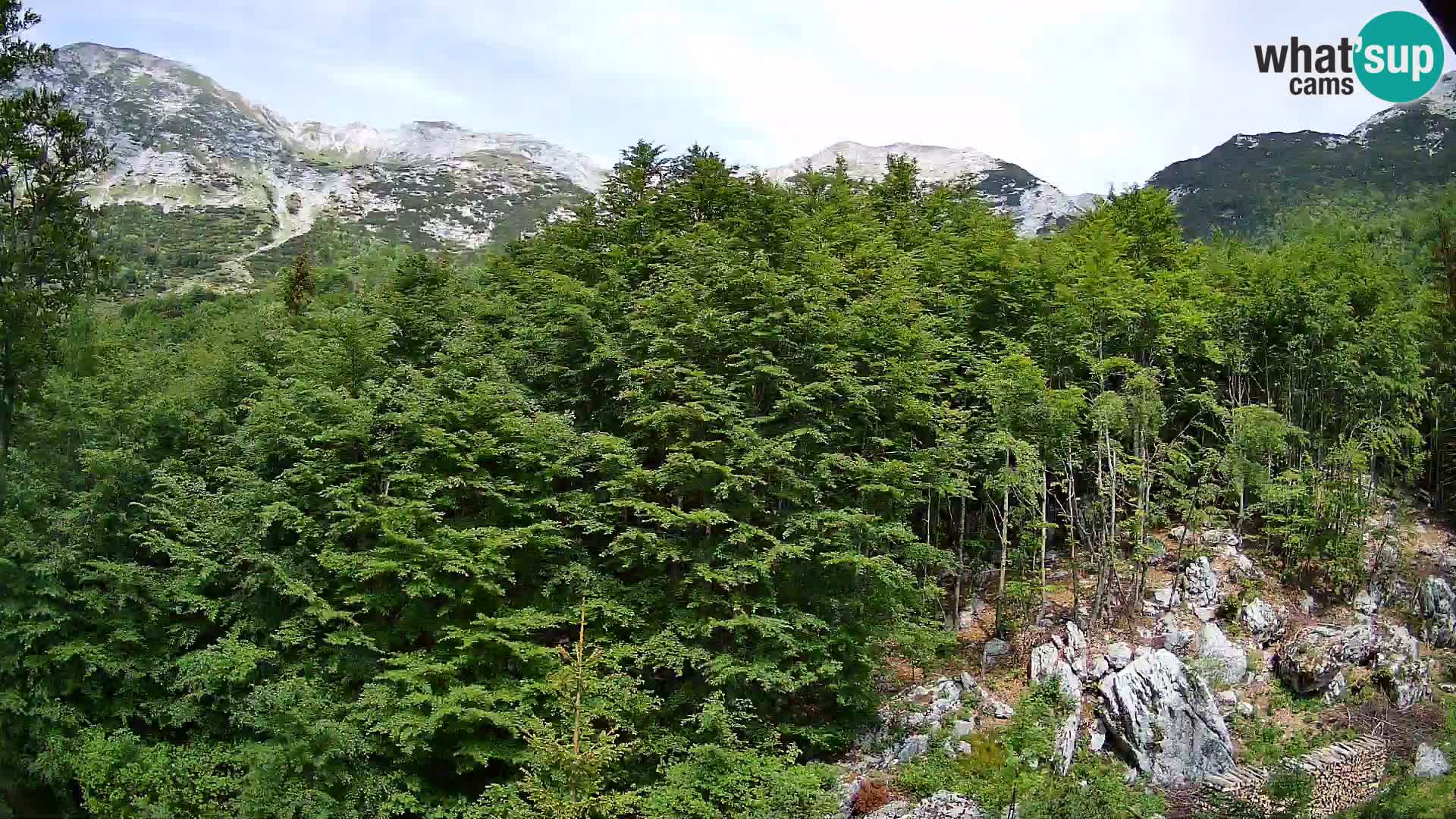 PLANINA RAZOR web kamera (1315) | pogled na Vogel i Globoko