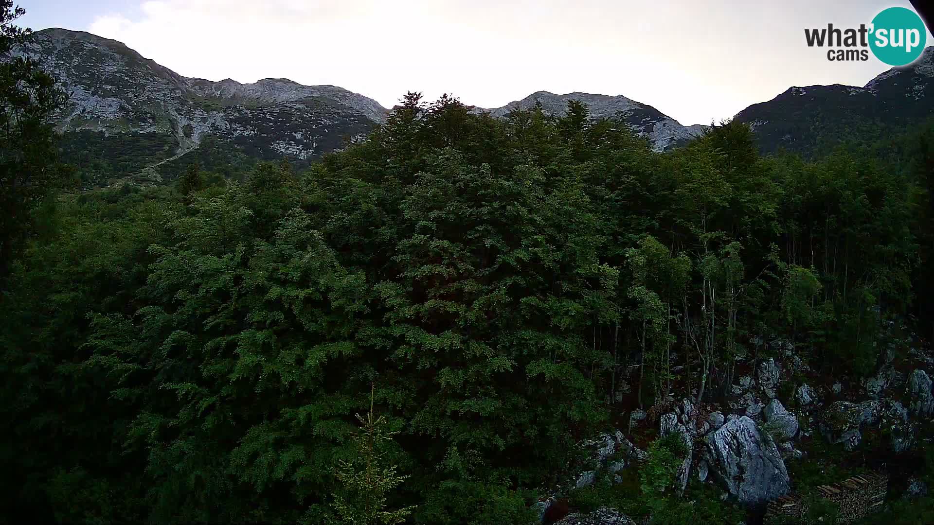 Webcam PLANINA RAZOR (1315) | Blick auf Vogel und Globoko