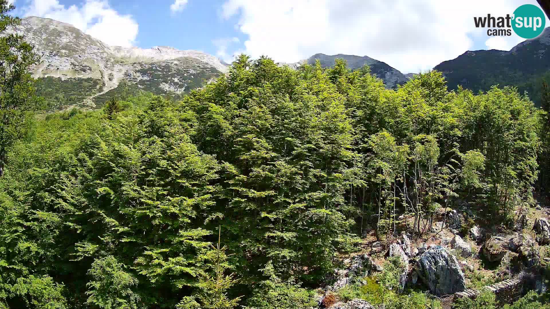 PLANINA RAZOR Live Cam (1315) | vista su Vogel e Globoko