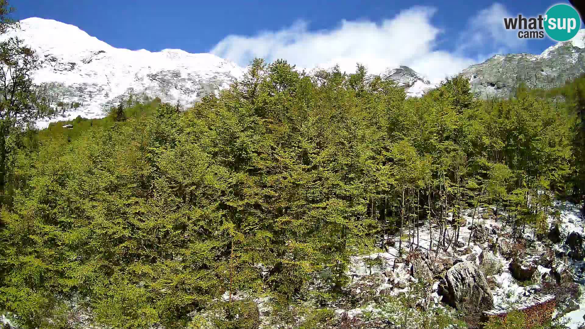 PLANINA RAZOR webcam (1315) | view to Vogel and Globoko