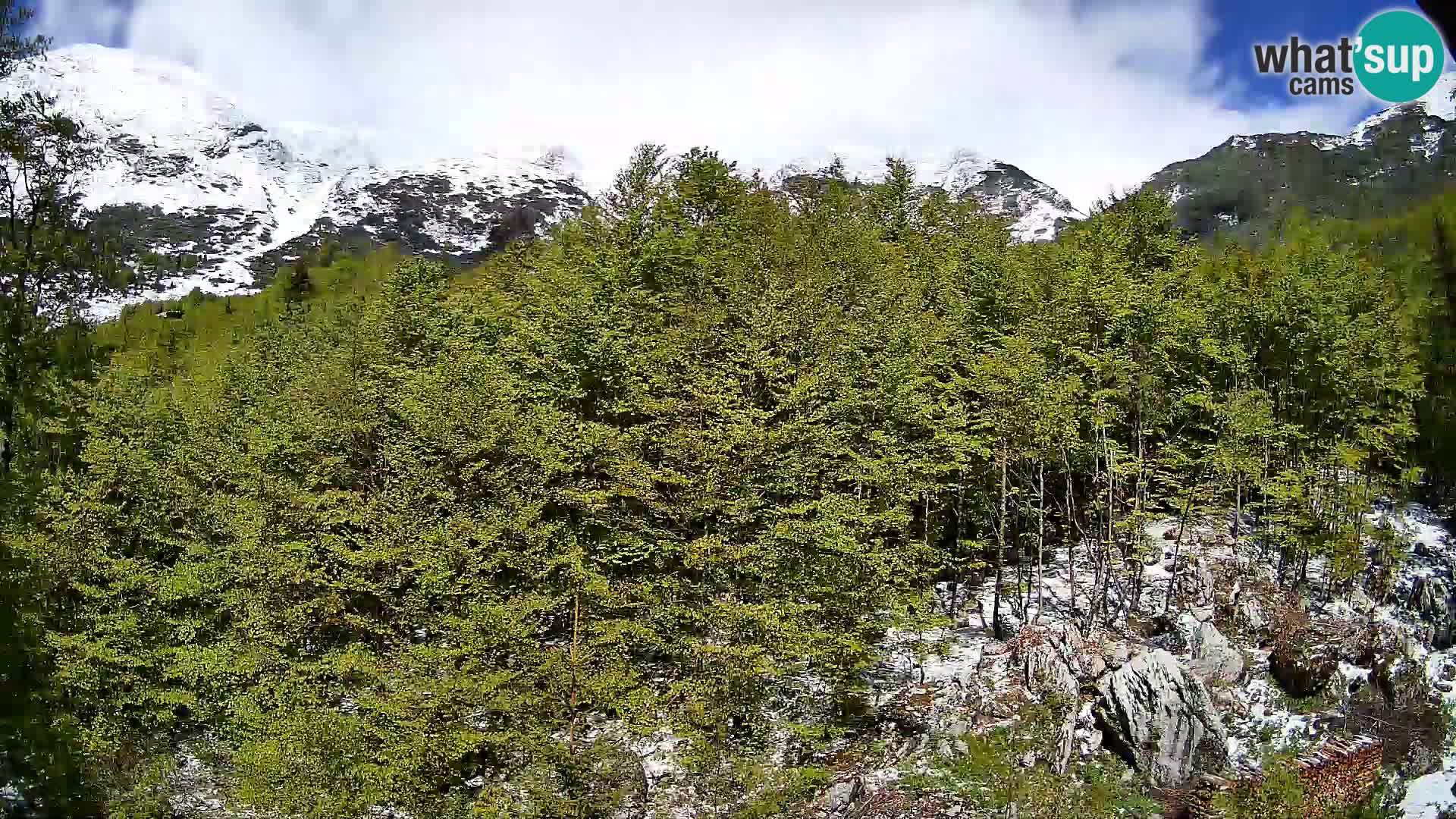 Webcam PLANINA RAZOR (1315) | Blick auf Vogel und Globoko