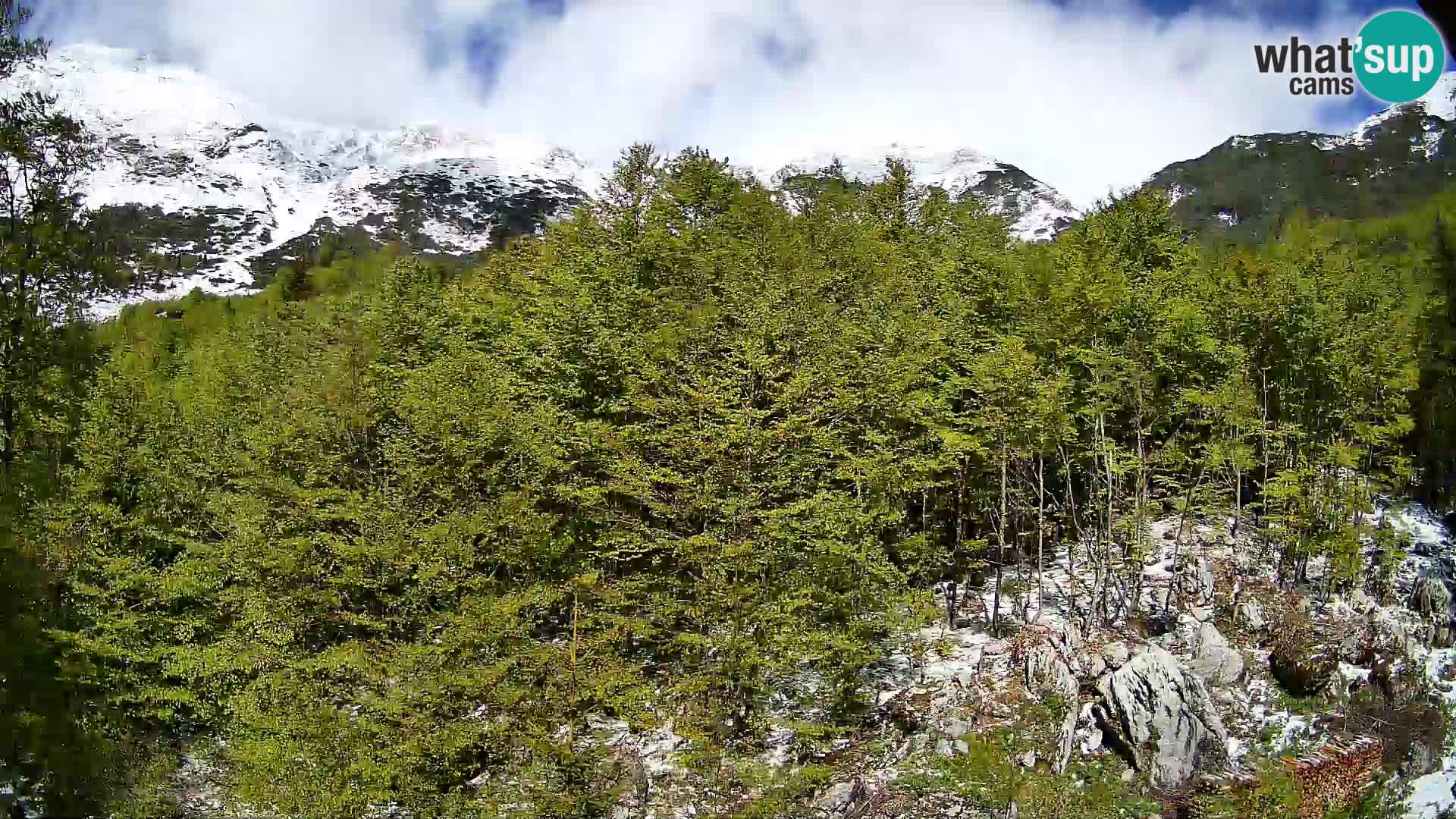 PLANINA RAZOR webcam (1315) | view to Vogel and Globoko