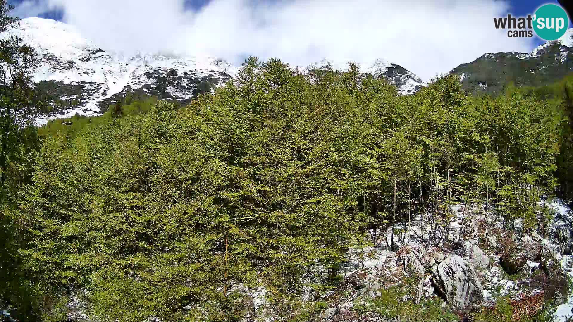 PLANINA RAZOR webcam (1315) | view to Vogel and Globoko