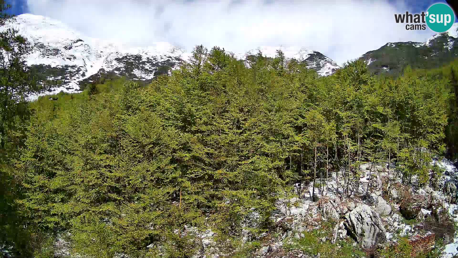 PLANINA RAZOR webcam (1315) | view to Vogel and Globoko
