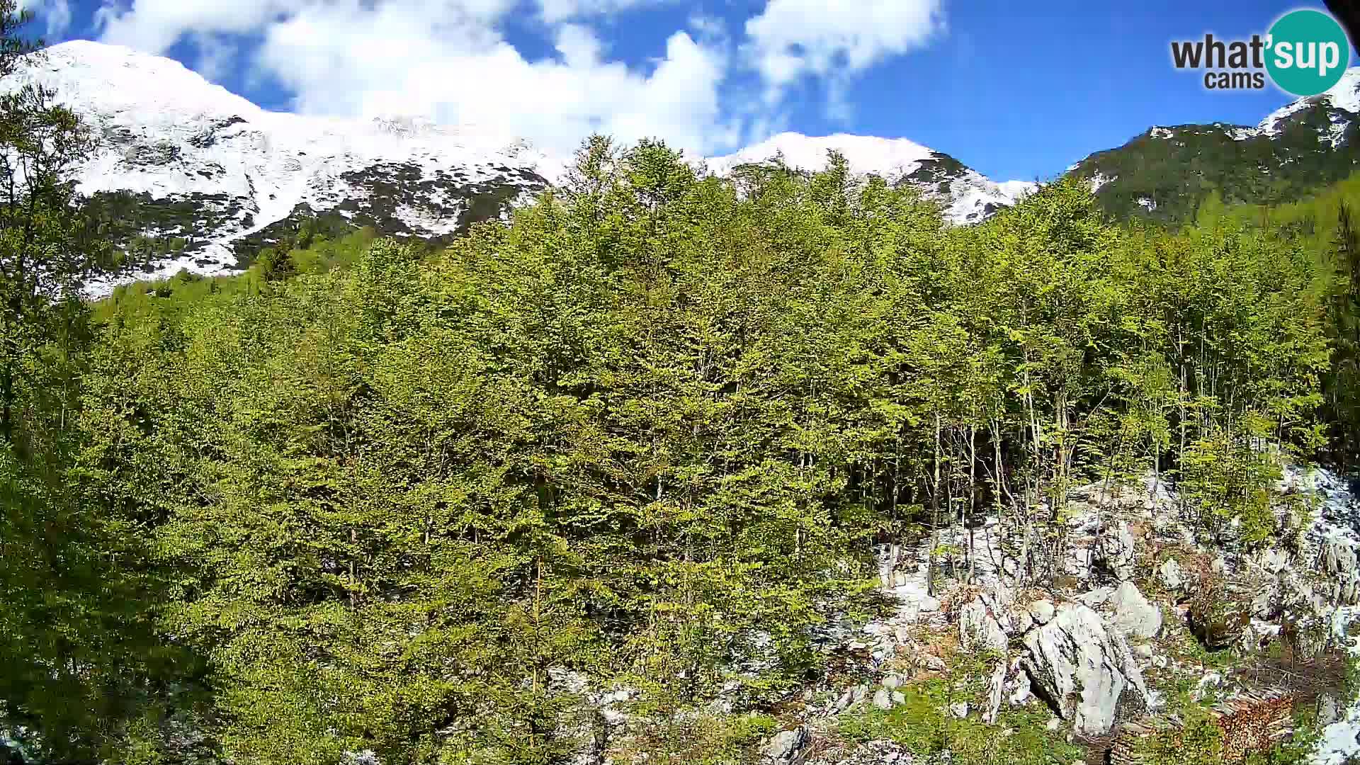 Webcam PLANINA RAZOR (1315) | Blick auf Vogel und Globoko