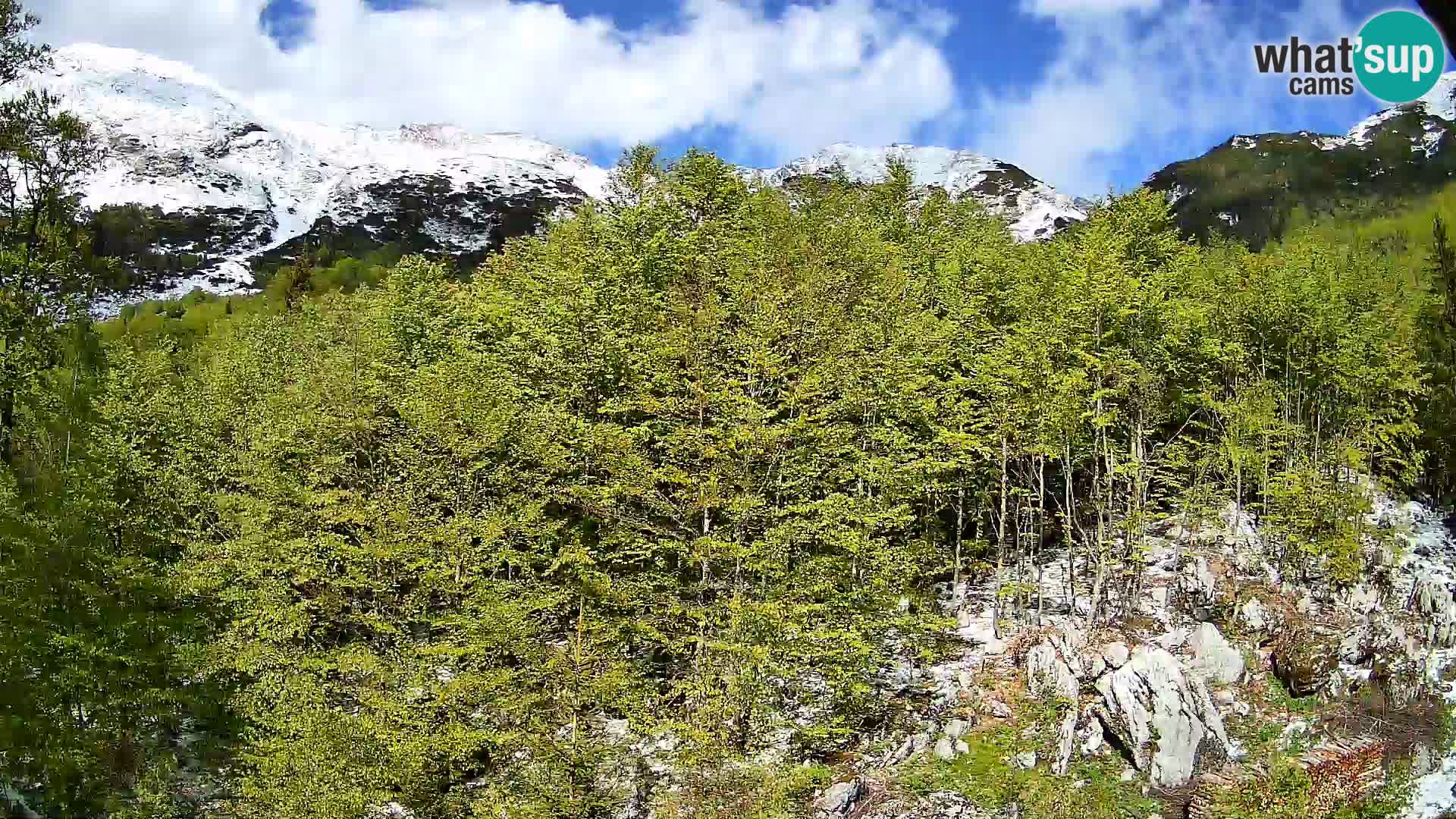Livecam PLANINA RAZOR (1315) | vue sur Vogel et Globoko