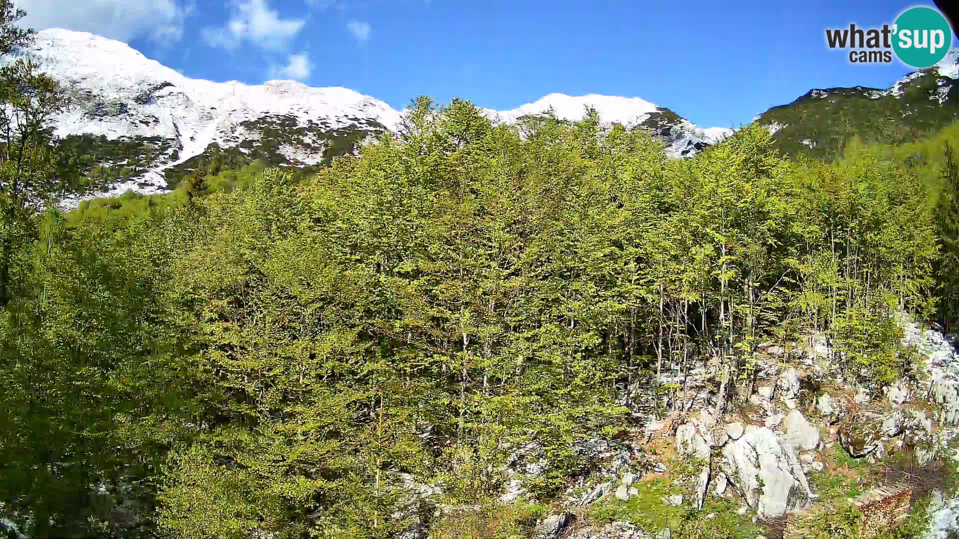 Webcam PLANINA RAZOR (1315) | Blick auf Vogel und Globoko