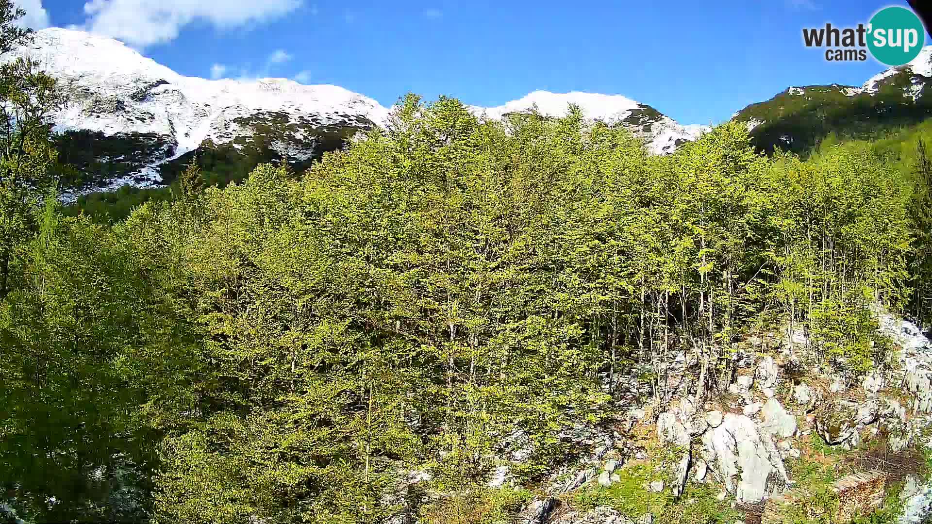 PLANINA RAZOR kamera (1315) | pogled na Vogel in Globoko