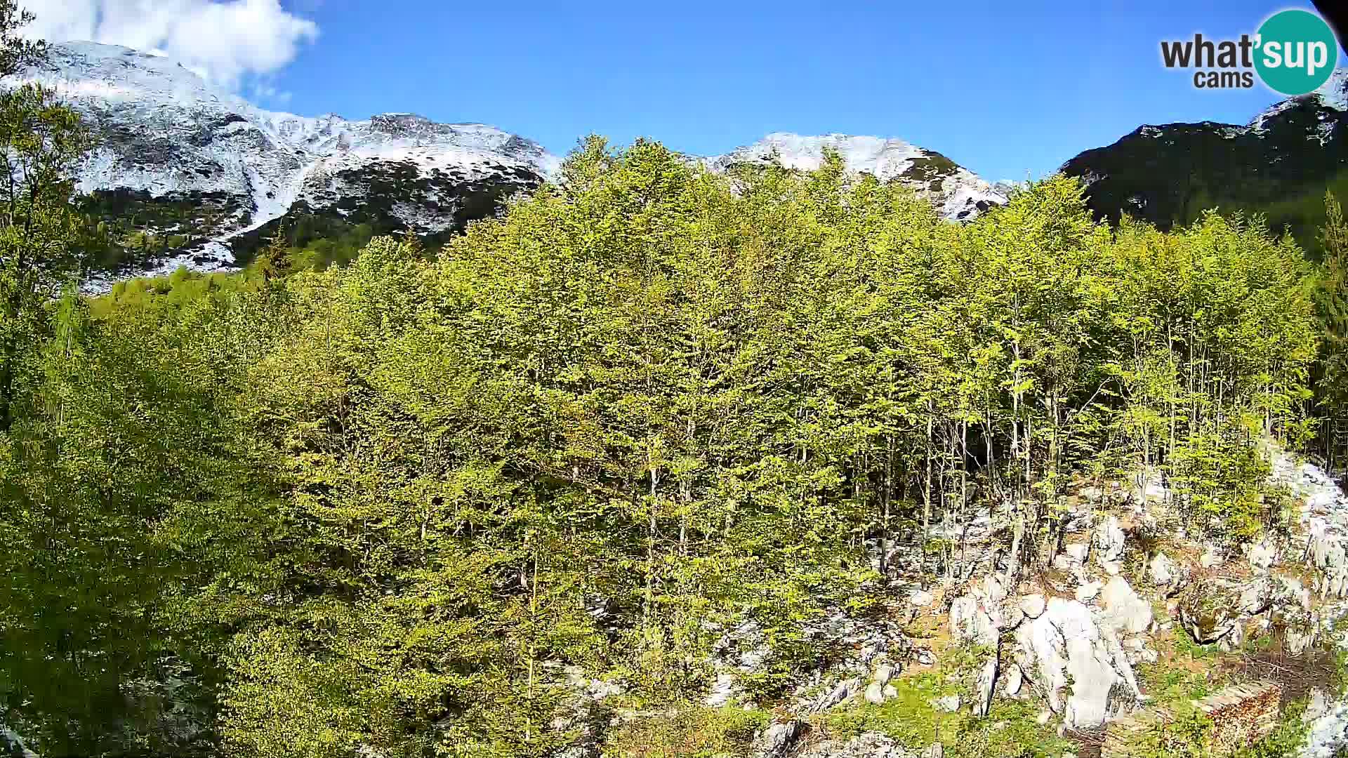 PLANINA RAZOR web kamera (1315) | pogled na Vogel i Globoko
