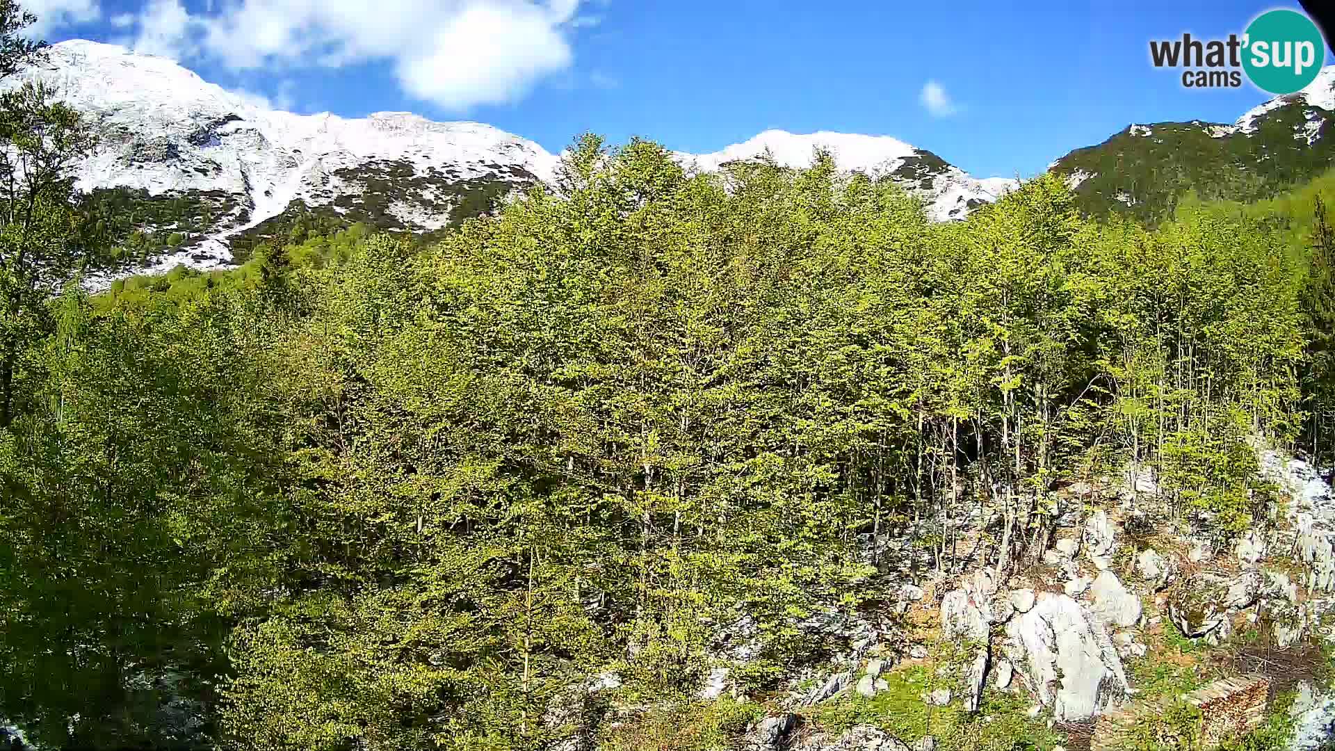 Livecam PLANINA RAZOR (1315) | vue sur Vogel et Globoko