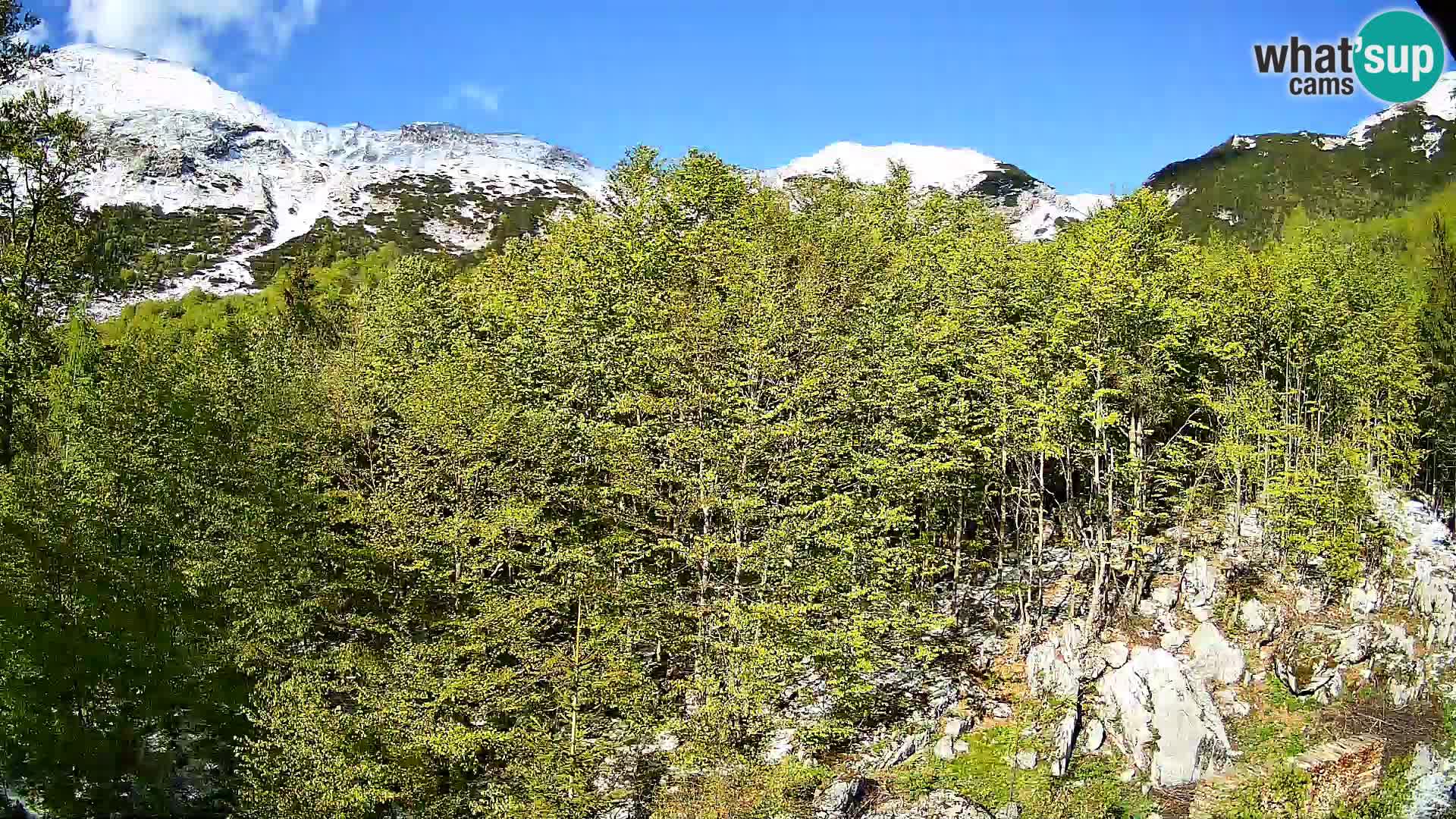 Livecam PLANINA RAZOR (1315) | vue sur Vogel et Globoko