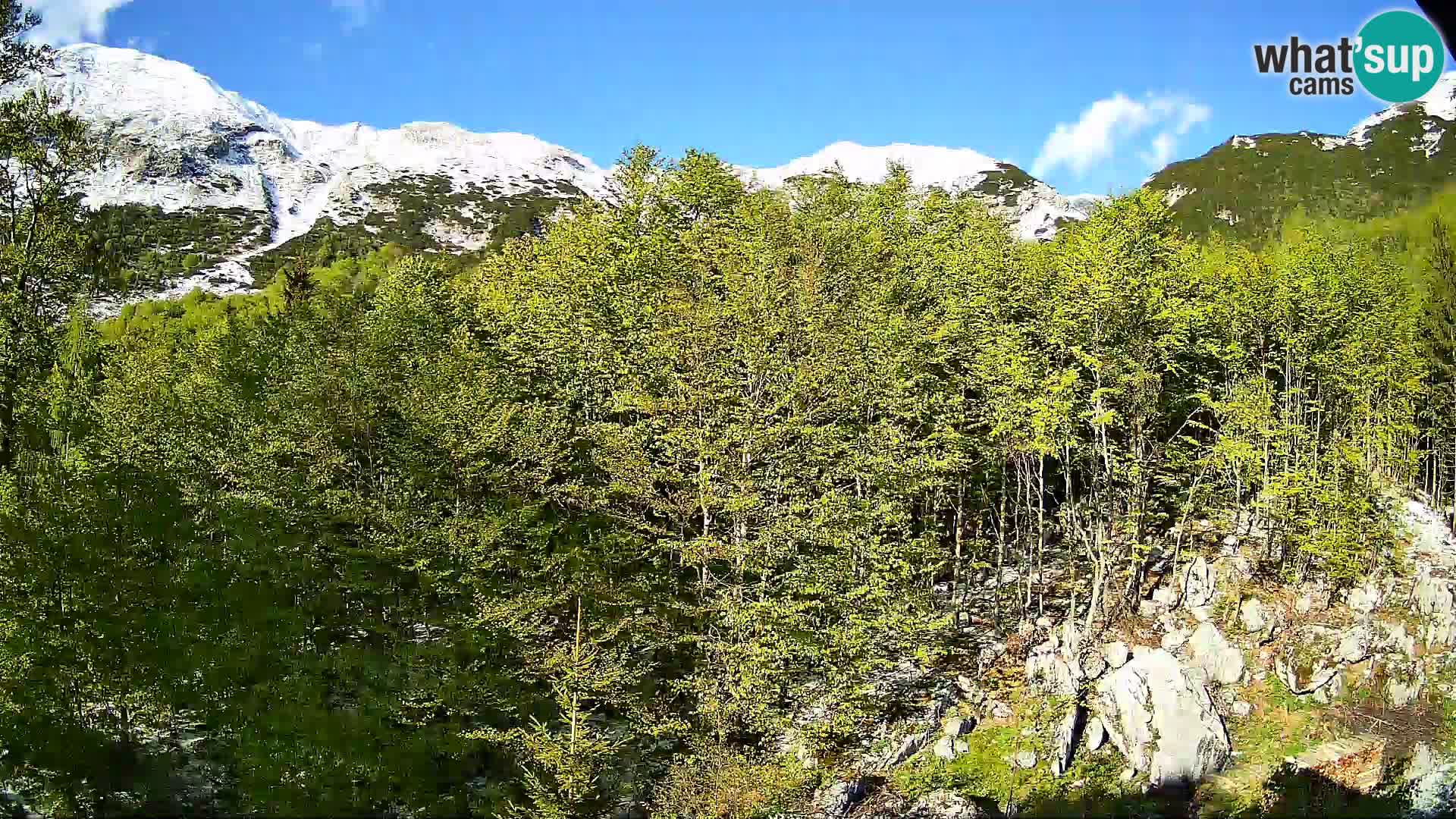 Webcam PLANINA RAZOR (1315) | Blick auf Vogel und Globoko