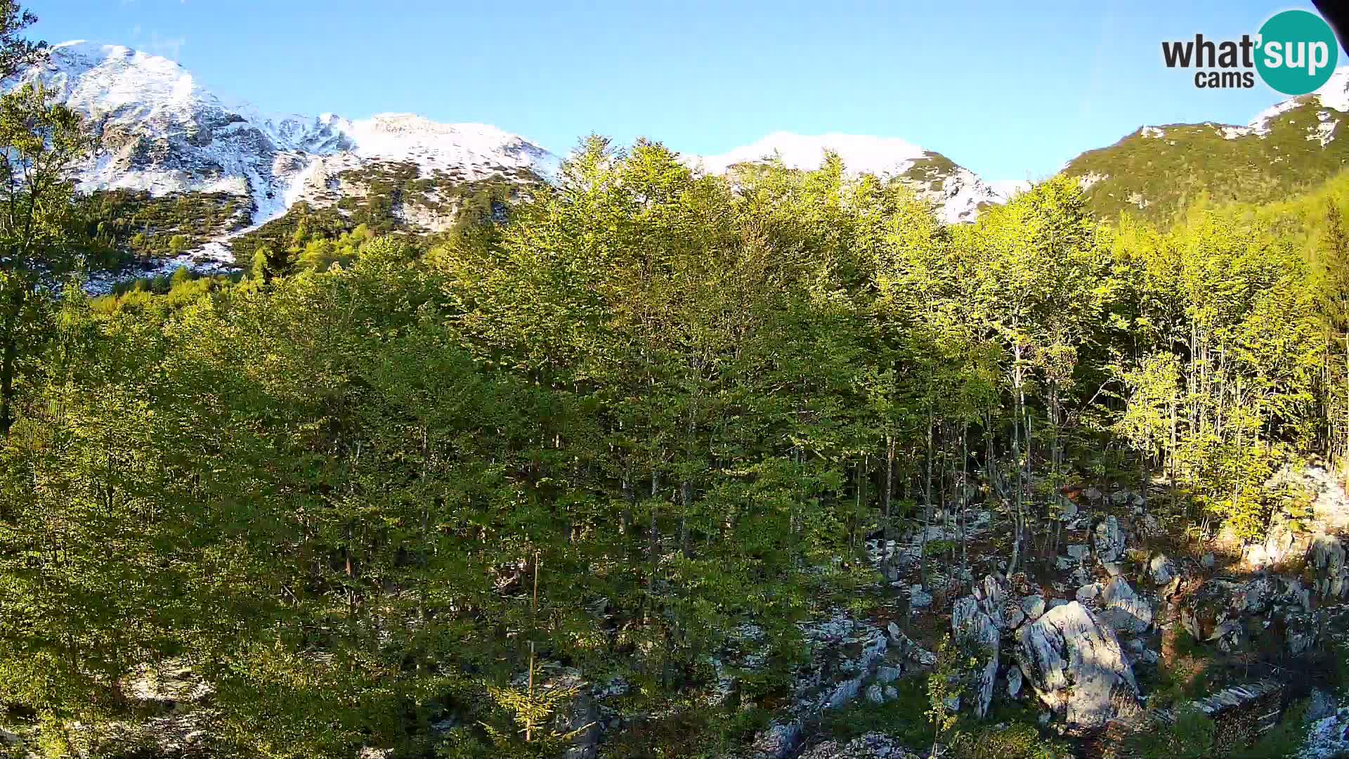 PLANINA RAZOR web kamera (1315) | pogled na Vogel i Globoko