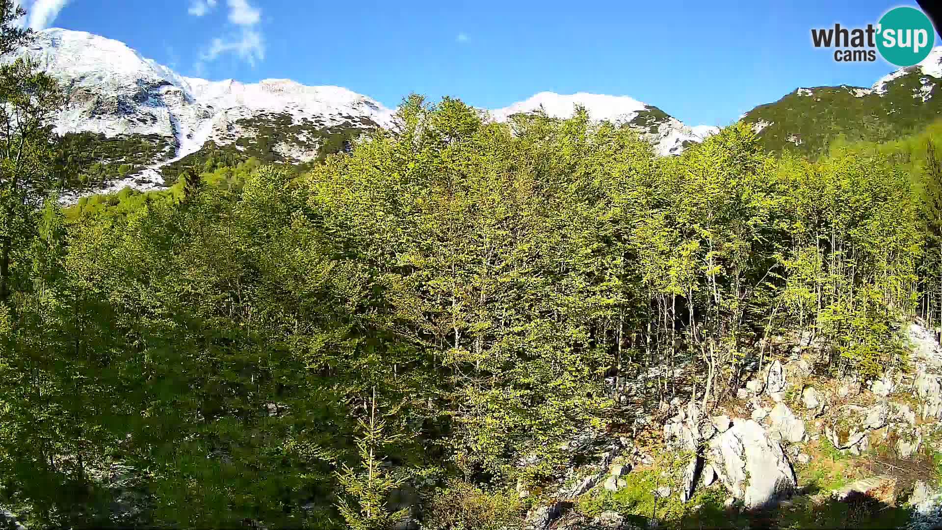 Livecam PLANINA RAZOR (1315) | vue sur Vogel et Globoko