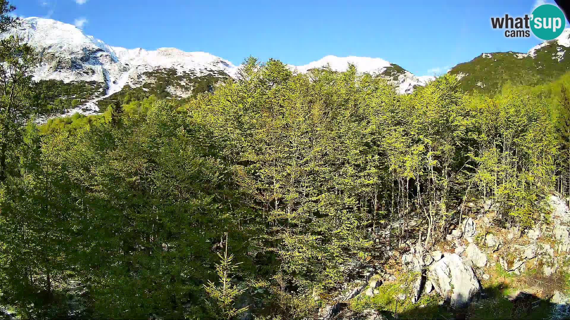 PLANINA RAZOR webcam (1315) | view to Vogel and Globoko
