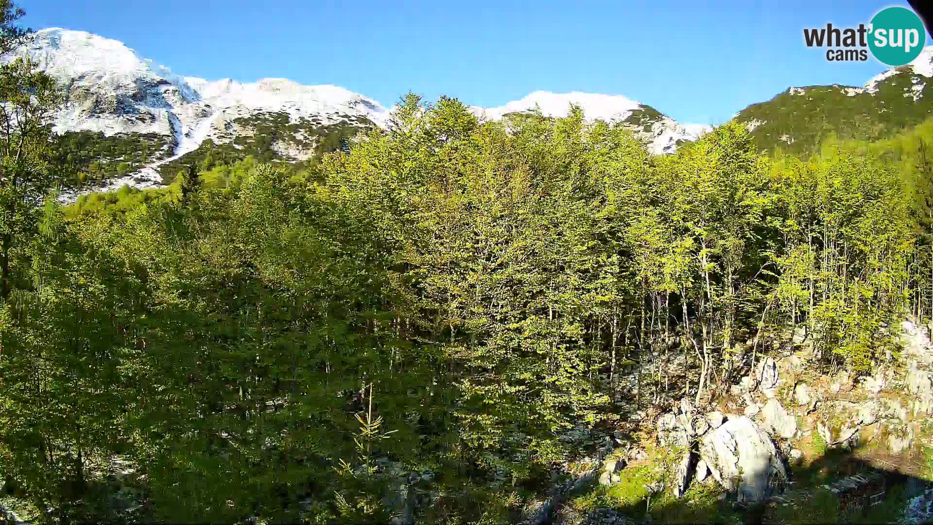 PLANINA RAZOR kamera (1315) | pogled na Vogel in Globoko