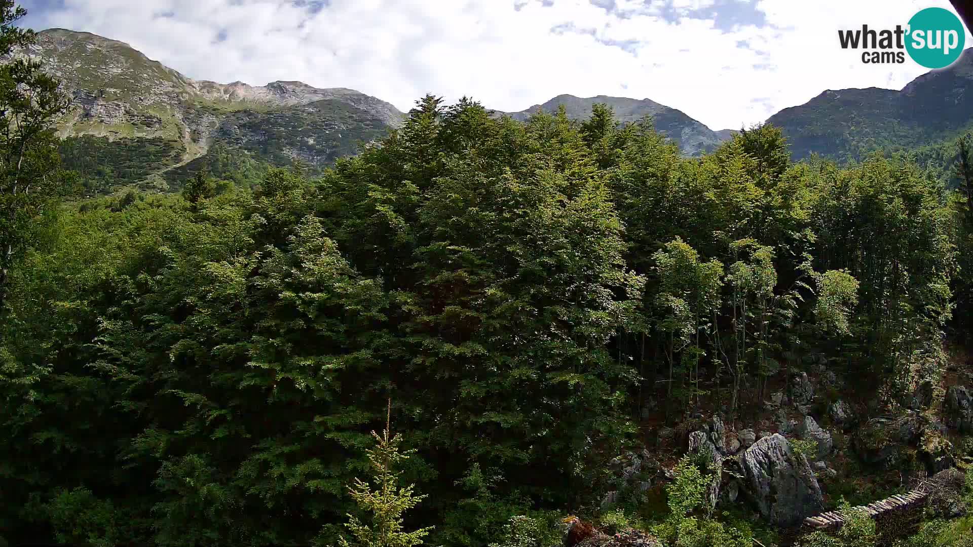 Cámara web PLANINA RAZOR (1315) | vista a Vogel y Globoko