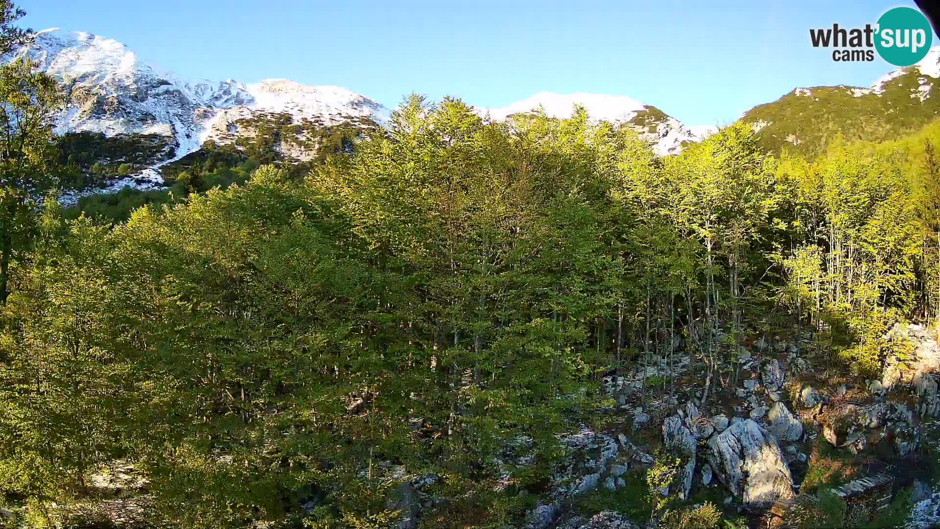 PLANINA RAZOR web kamera (1315) | pogled na Vogel i Globoko