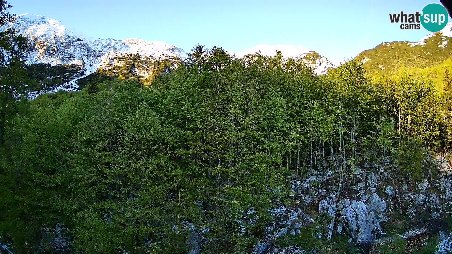 PLANINA RAZOR Live Cam (1315) | vista su Vogel e Globoko
