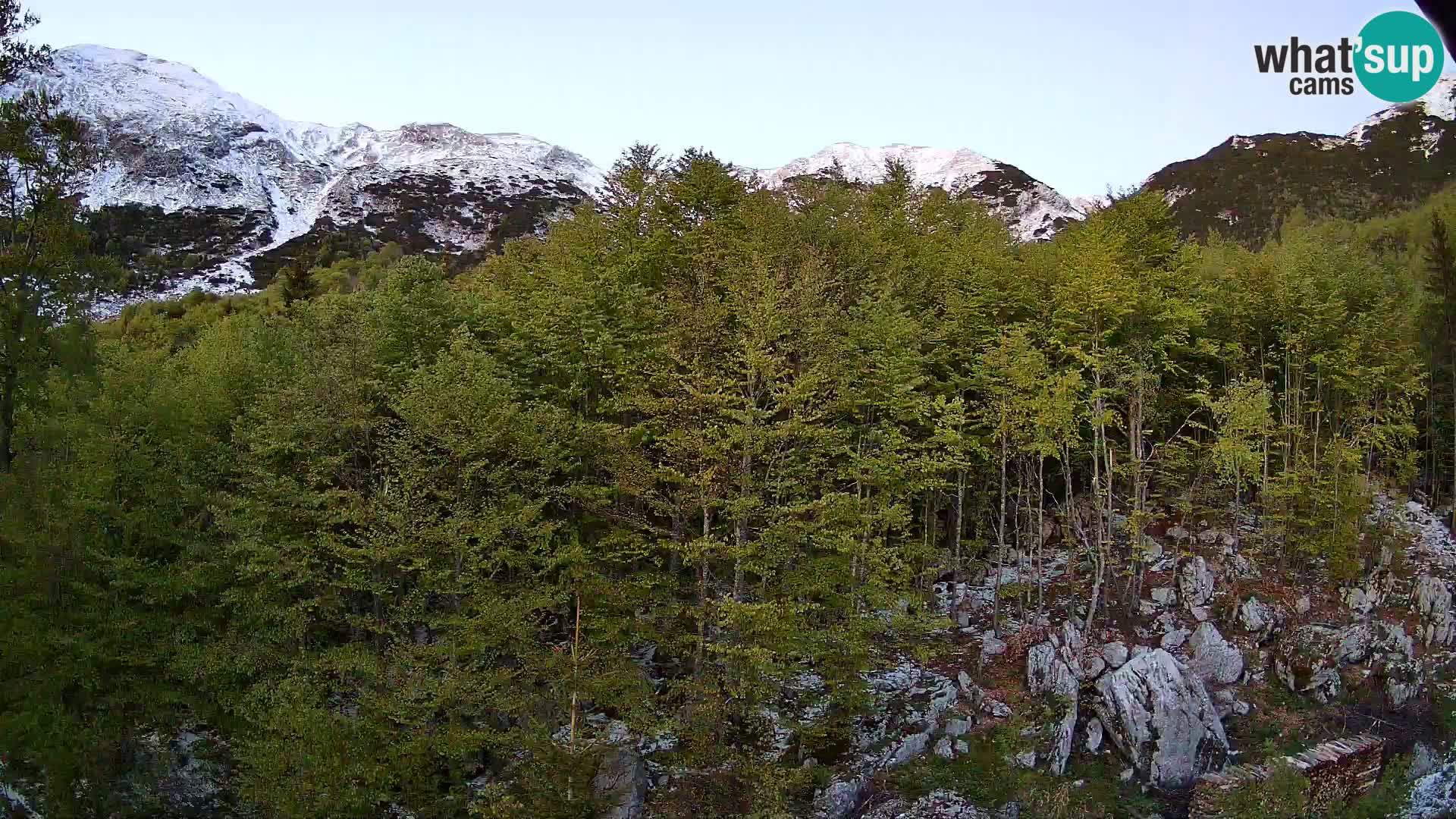 PLANINA RAZOR webcam (1315) | view to Vogel and Globoko