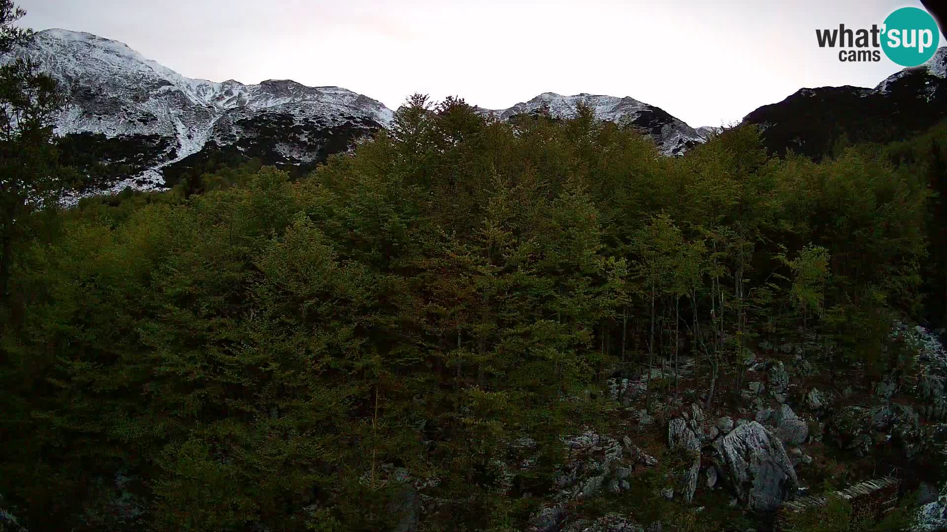 Livecam PLANINA RAZOR (1315) | vue sur Vogel et Globoko