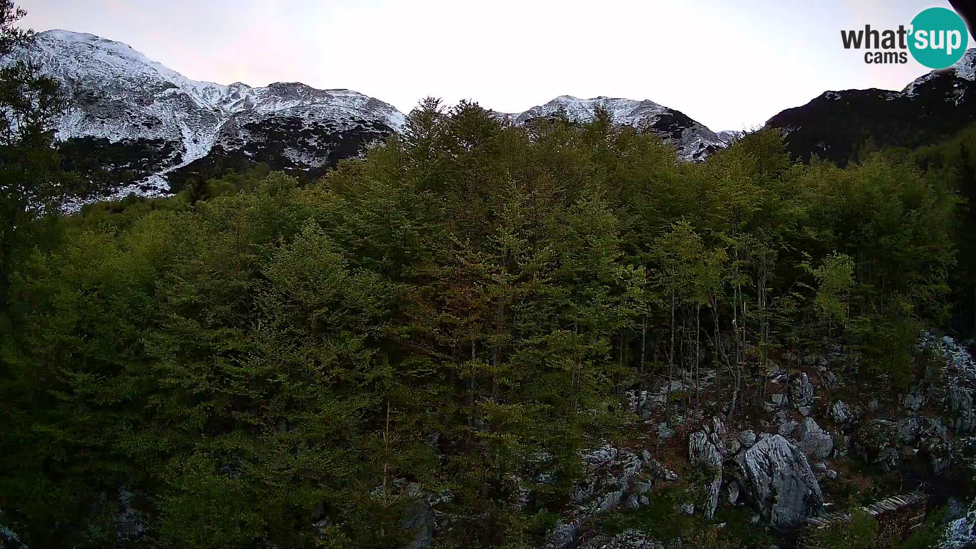 PLANINA RAZOR kamera (1315) | pogled na Vogel in Globoko