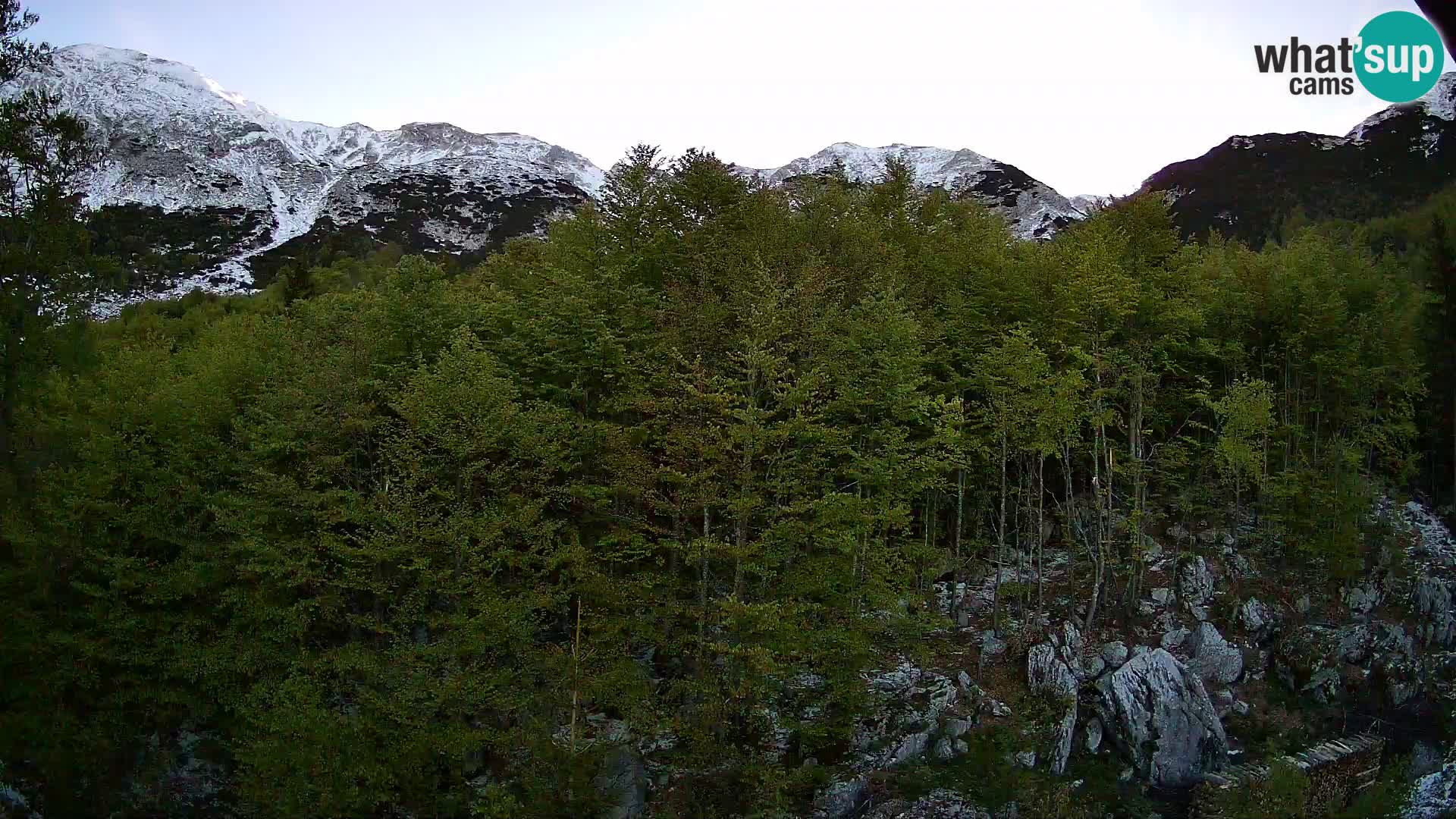 PLANINA RAZOR kamera (1315) | pogled na Vogel in Globoko