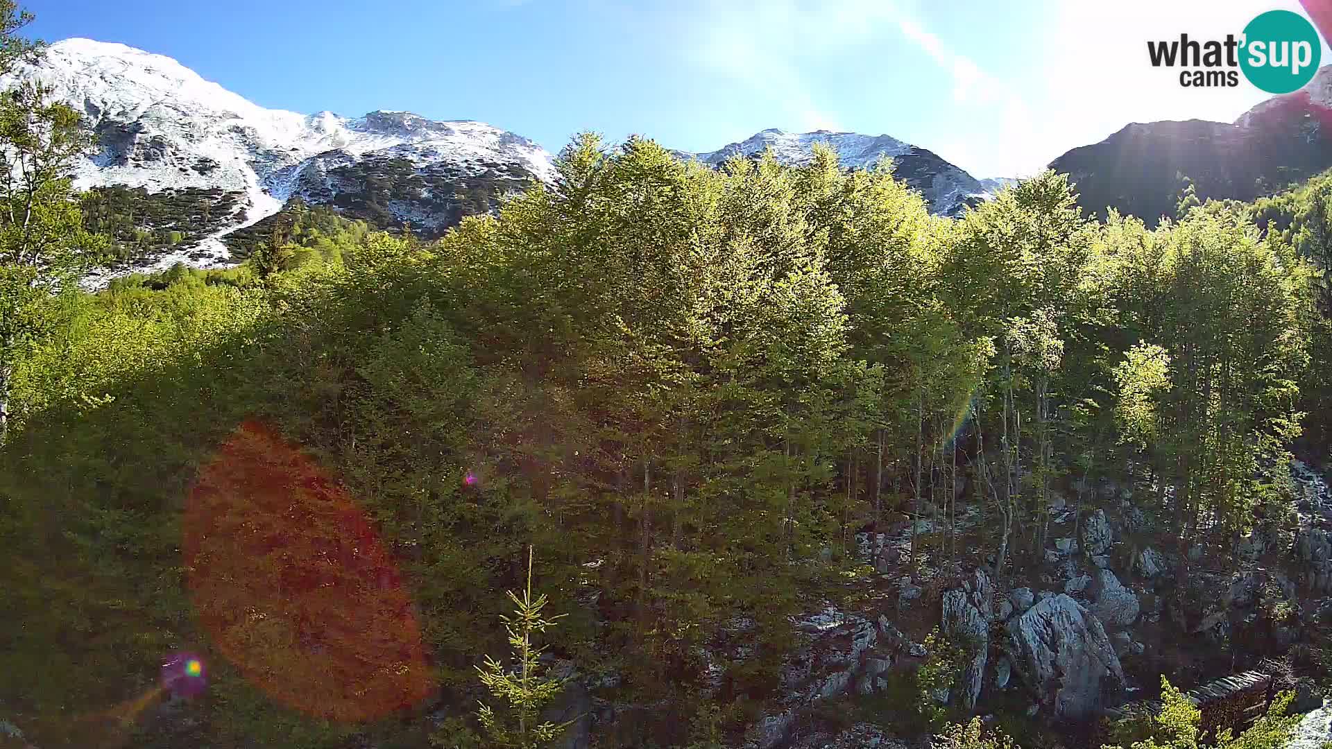 PLANINA RAZOR kamera (1315) | pogled na Vogel in Globoko