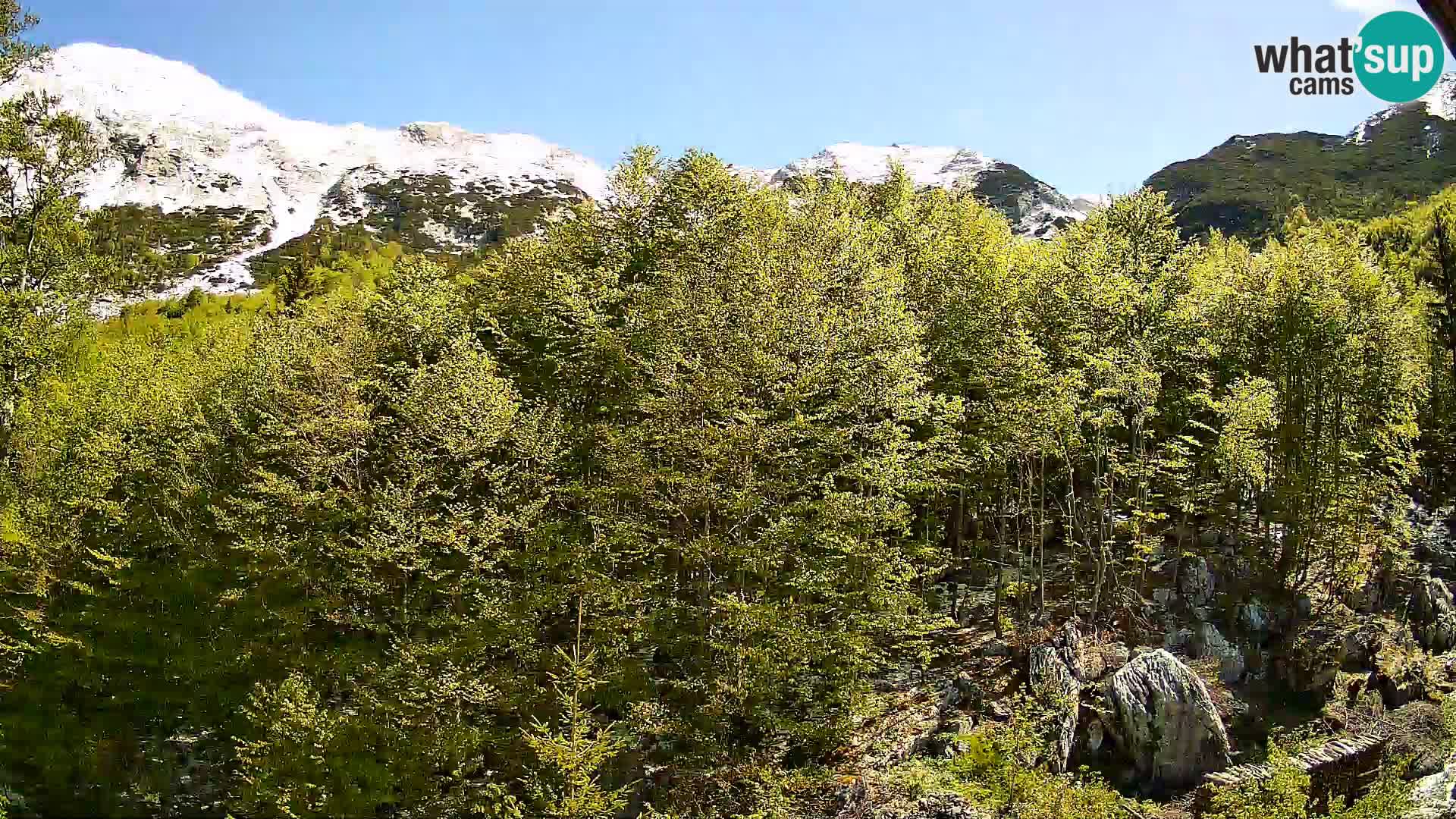 PLANINA RAZOR web kamera (1315) | pogled na Vogel i Globoko