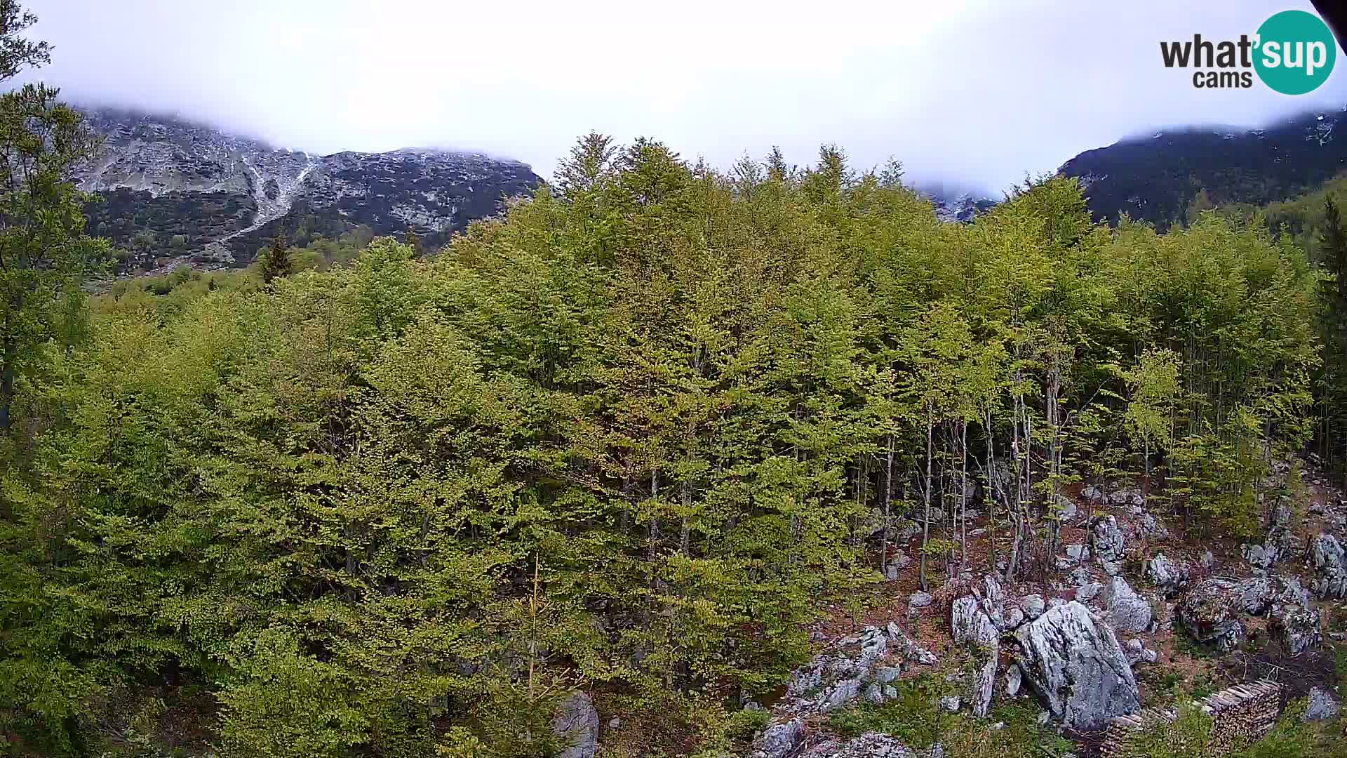 Cámara web PLANINA RAZOR (1315) | vista a Vogel y Globoko
