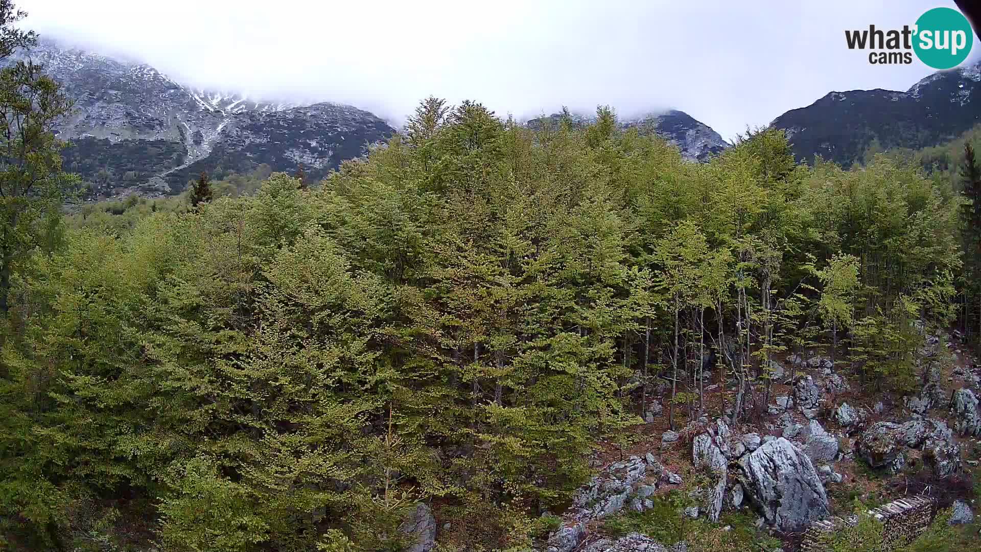 Webcam PLANINA RAZOR (1315) | Blick auf Vogel und Globoko