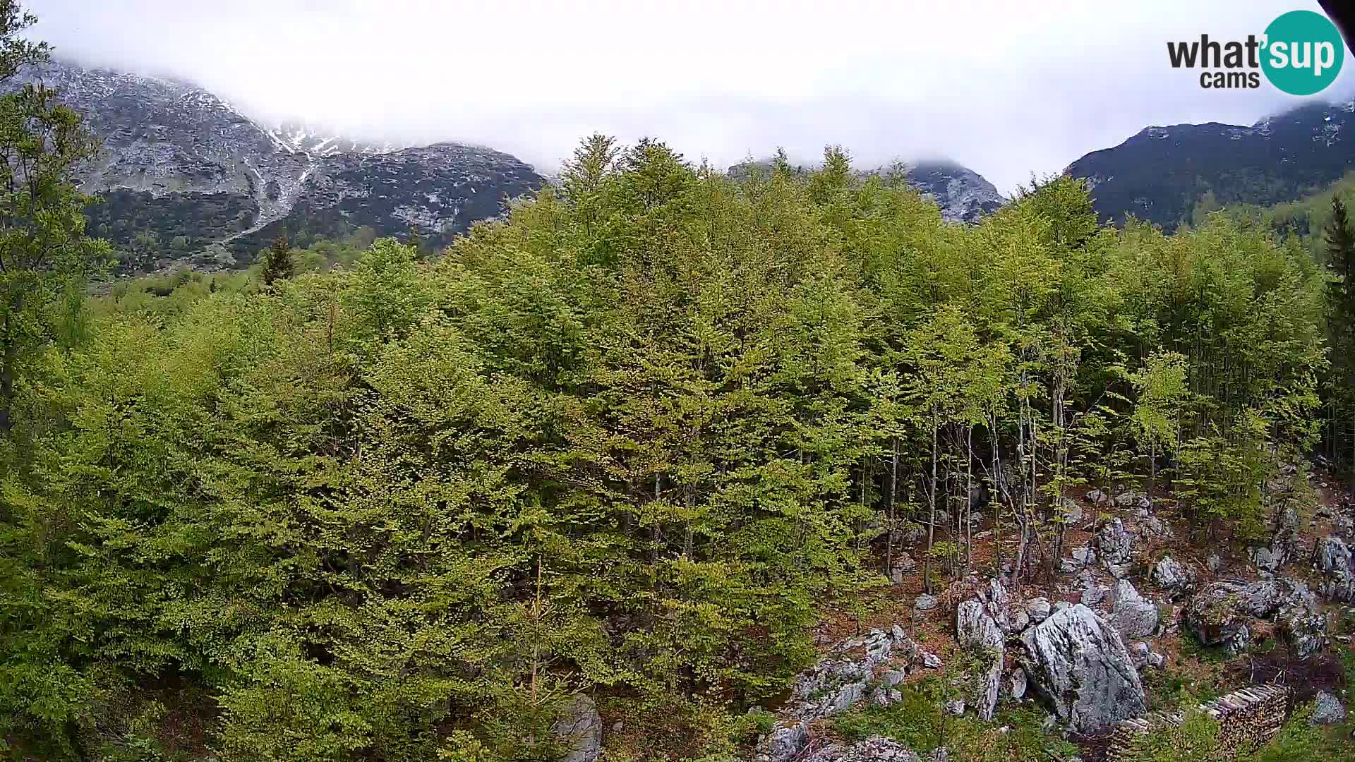 Webcam PLANINA RAZOR (1315) | Blick auf Vogel und Globoko