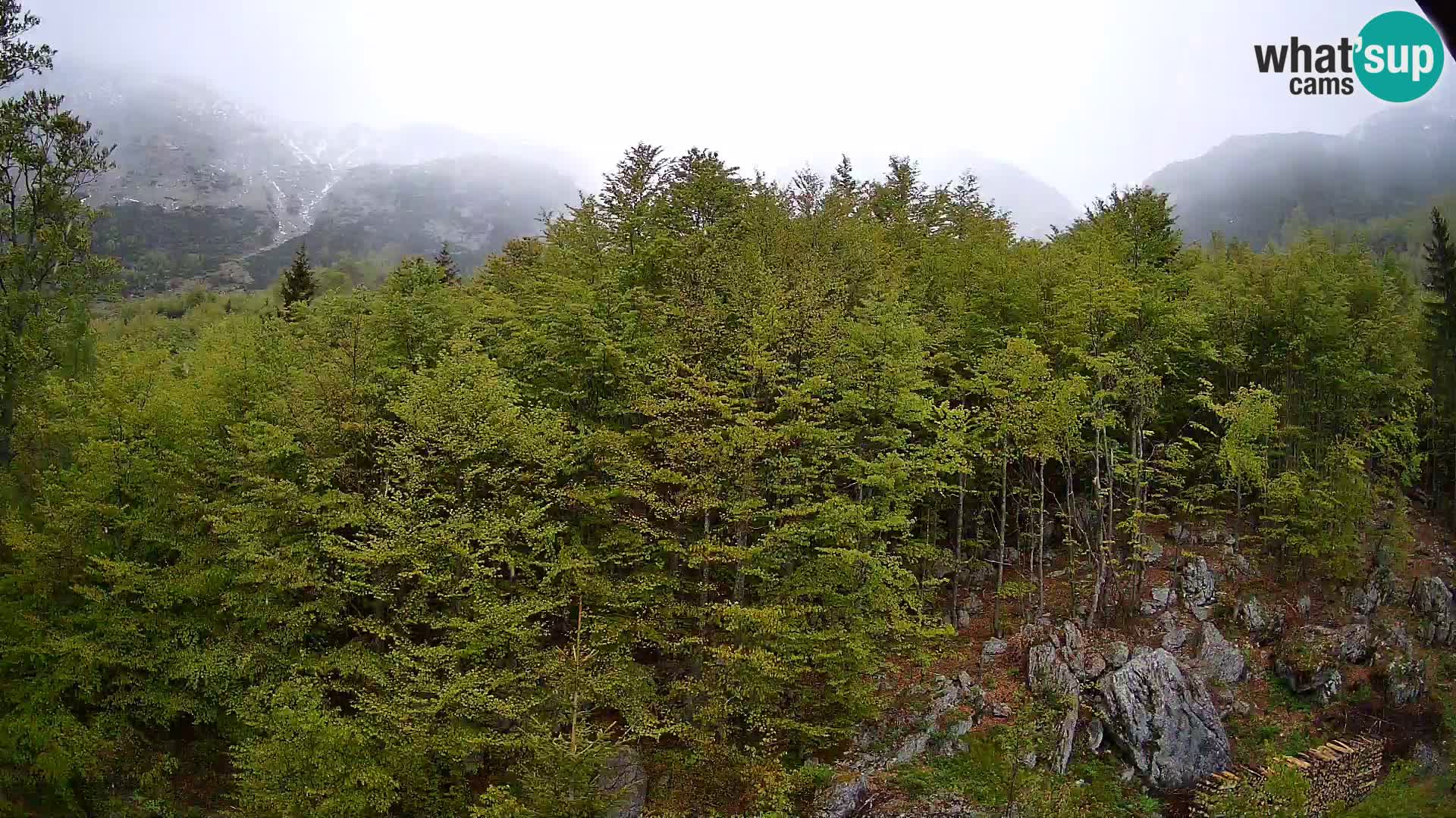 Webcam PLANINA RAZOR (1315) | Blick auf Vogel und Globoko