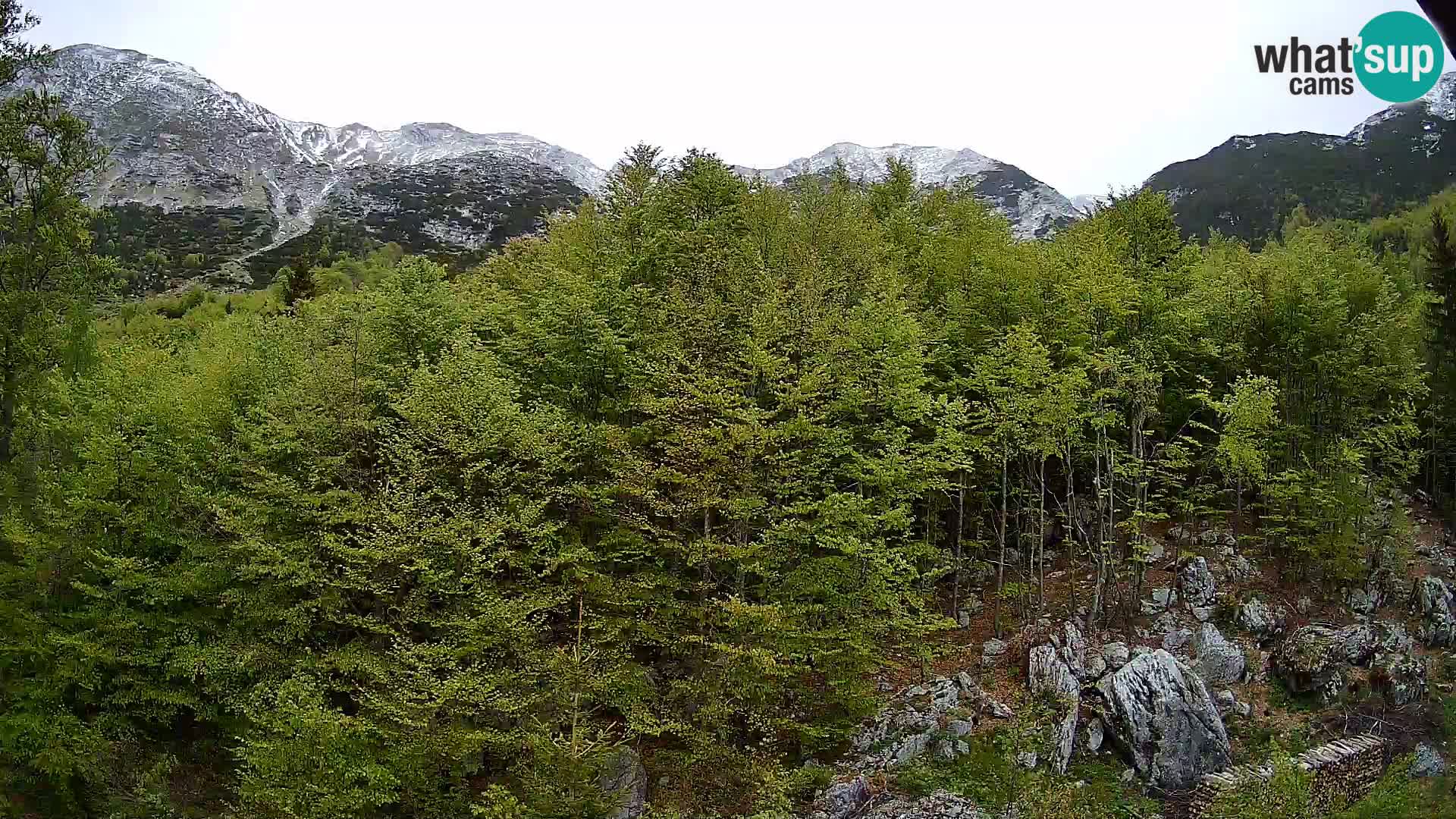 Cámara web PLANINA RAZOR (1315) | vista a Vogel y Globoko