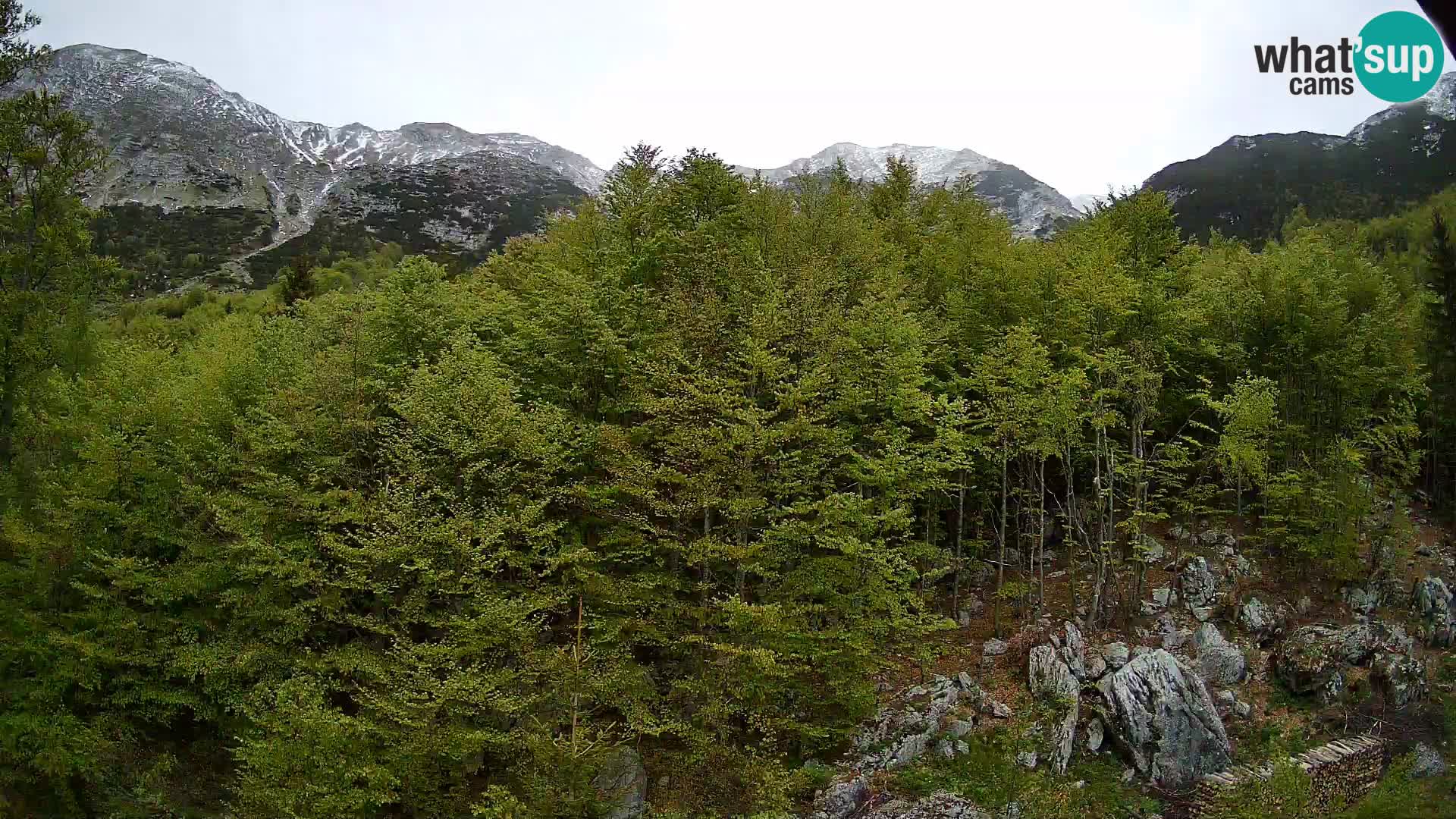 Cámara web PLANINA RAZOR (1315) | vista a Vogel y Globoko