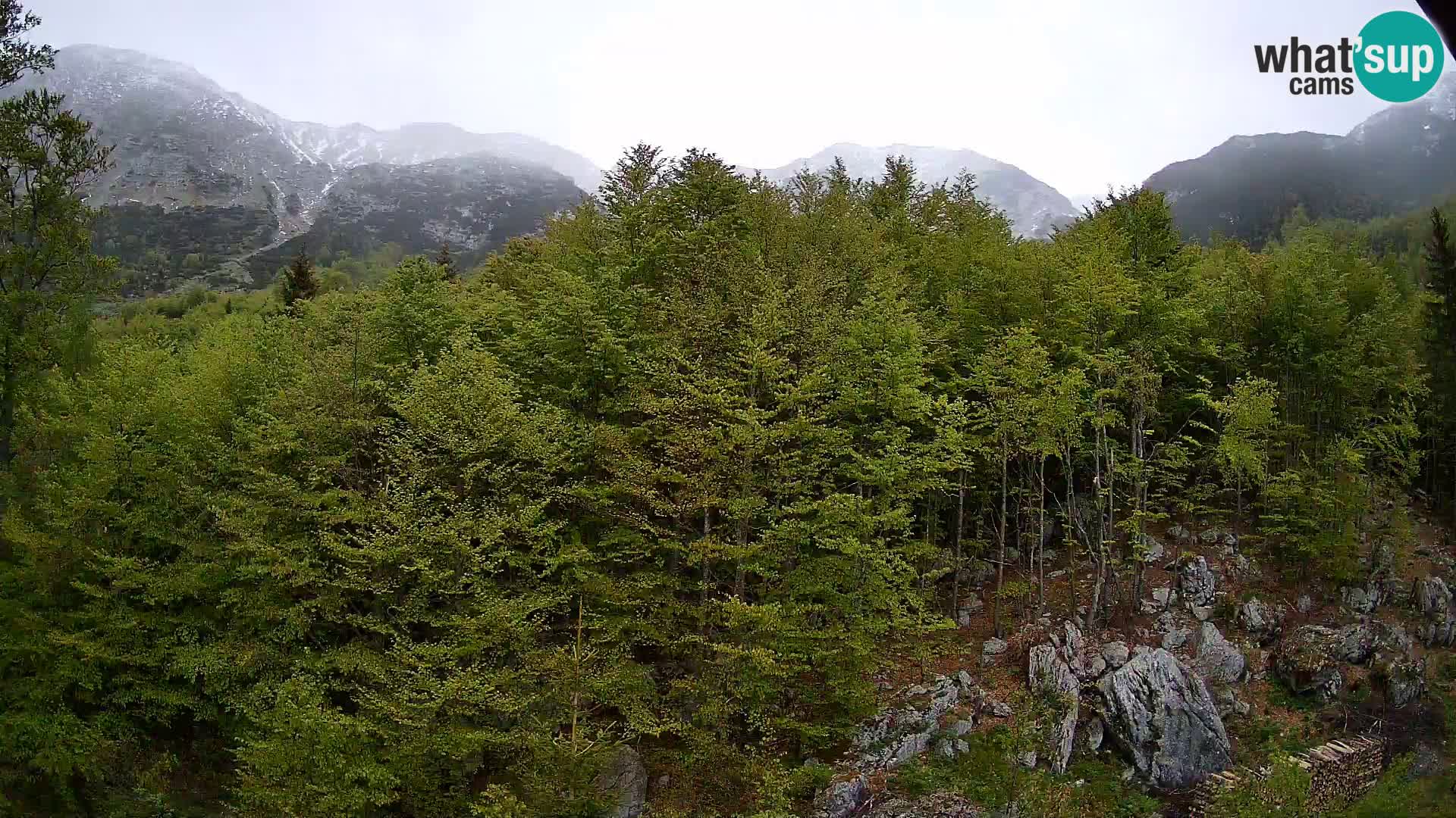 Livecam PLANINA RAZOR (1315) | vue sur Vogel et Globoko
