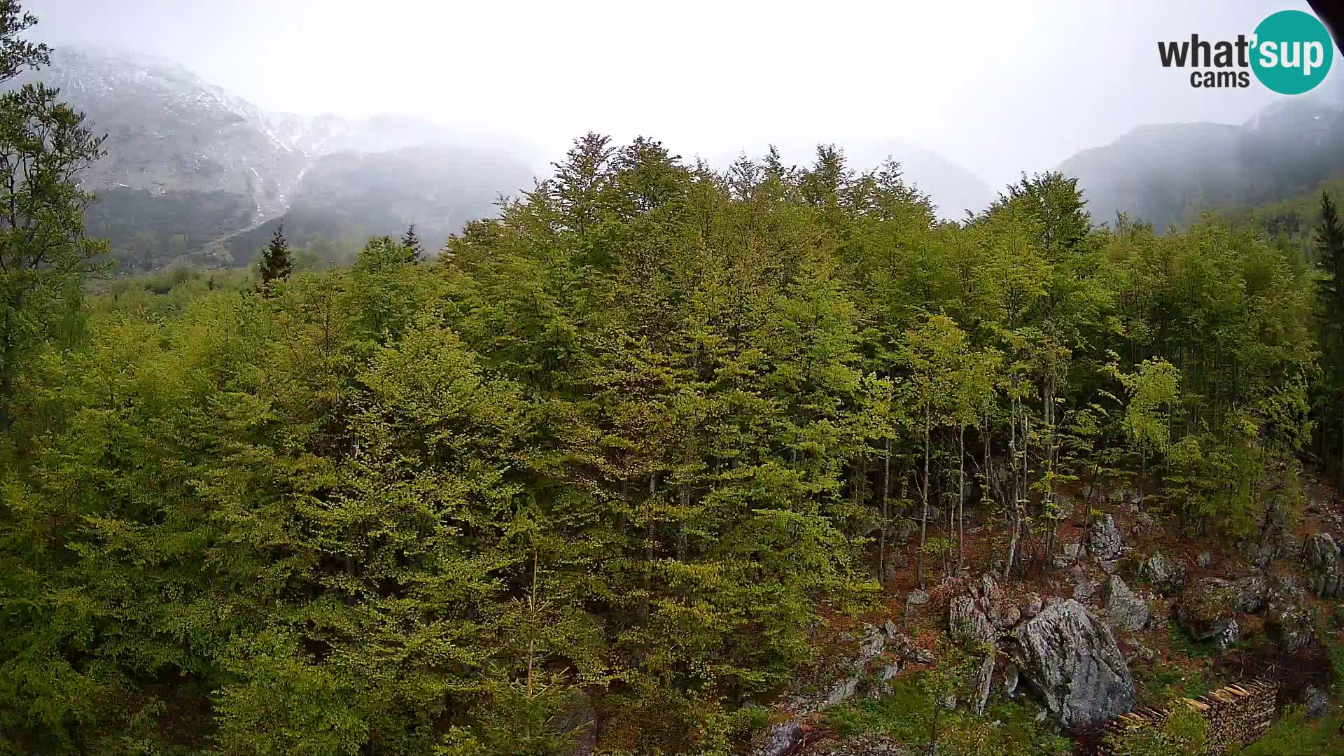 Webcam PLANINA RAZOR (1315) | Blick auf Vogel und Globoko