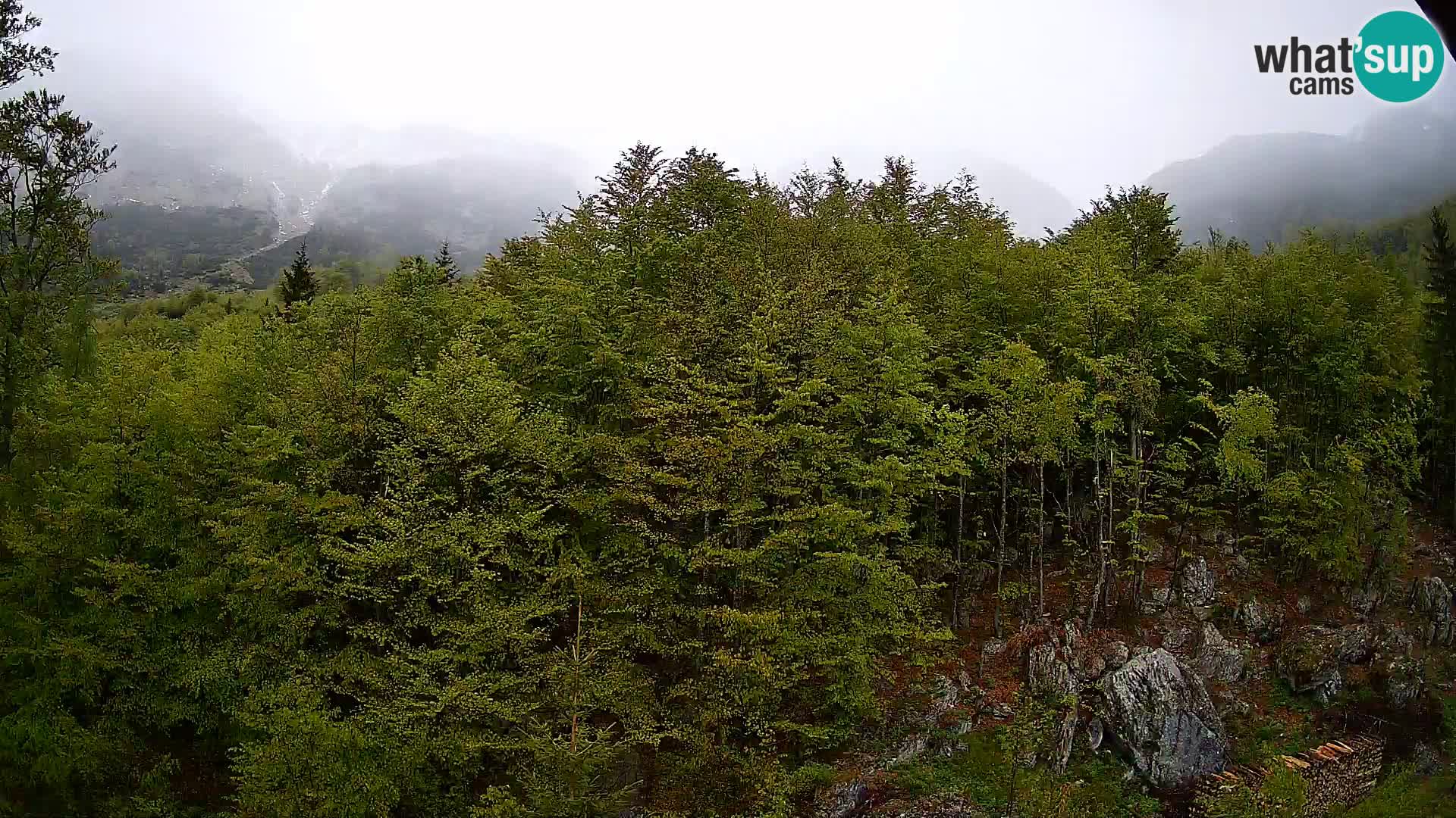 Livecam PLANINA RAZOR (1315) | vue sur Vogel et Globoko