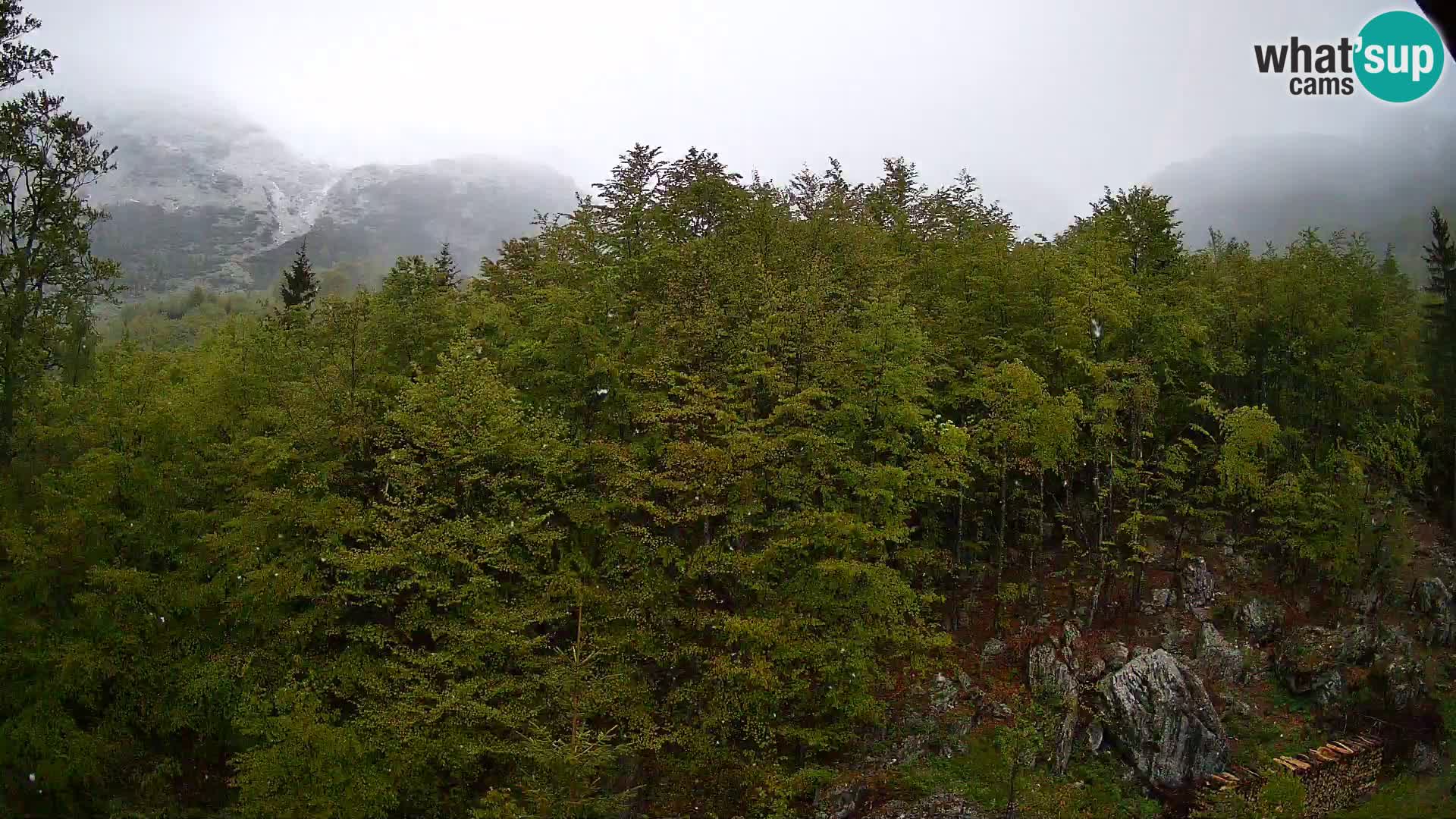 Webcam PLANINA RAZOR (1315) | Blick auf Vogel und Globoko