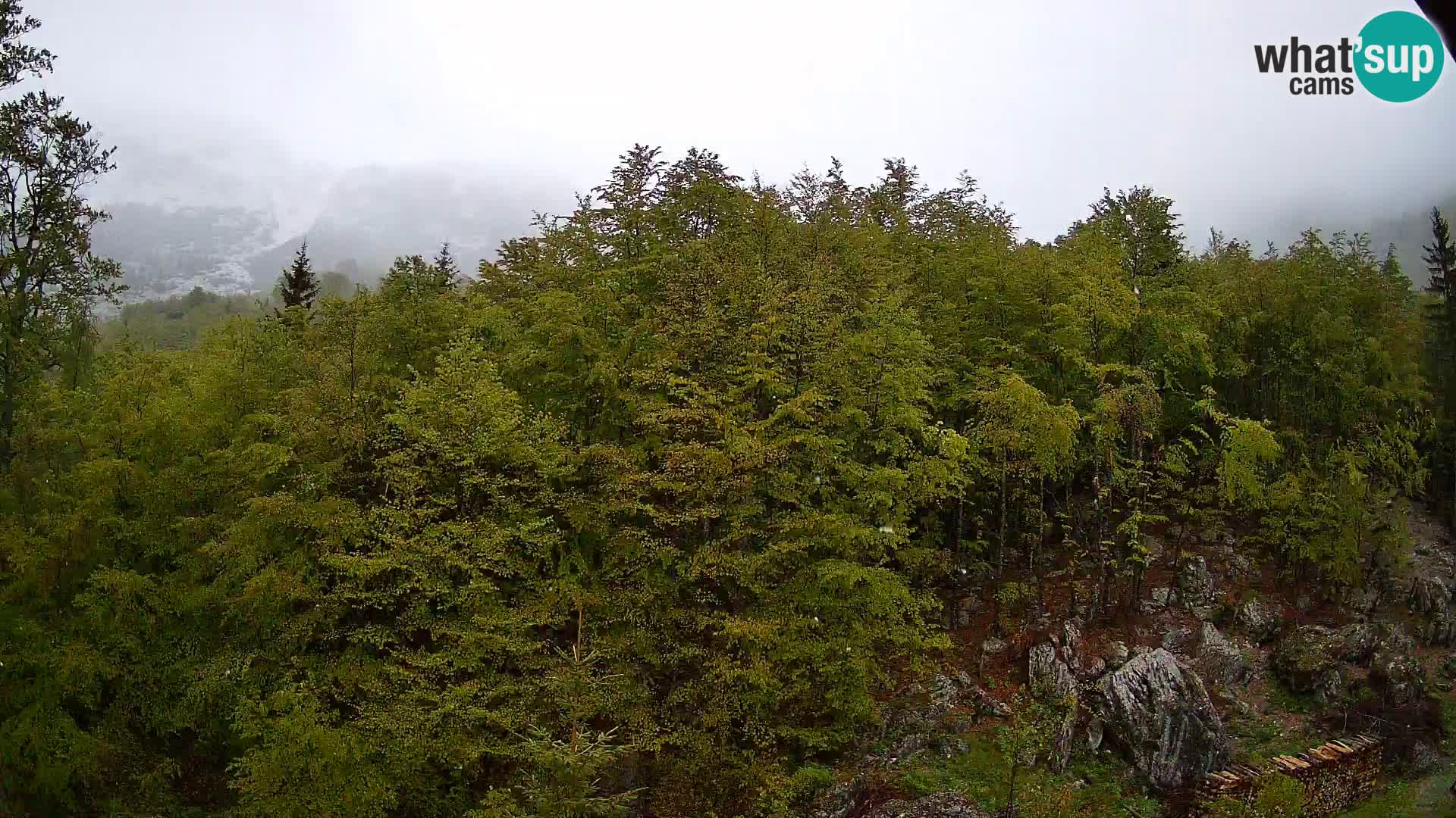 PLANINA RAZOR web kamera (1315) | pogled na Vogel i Globoko