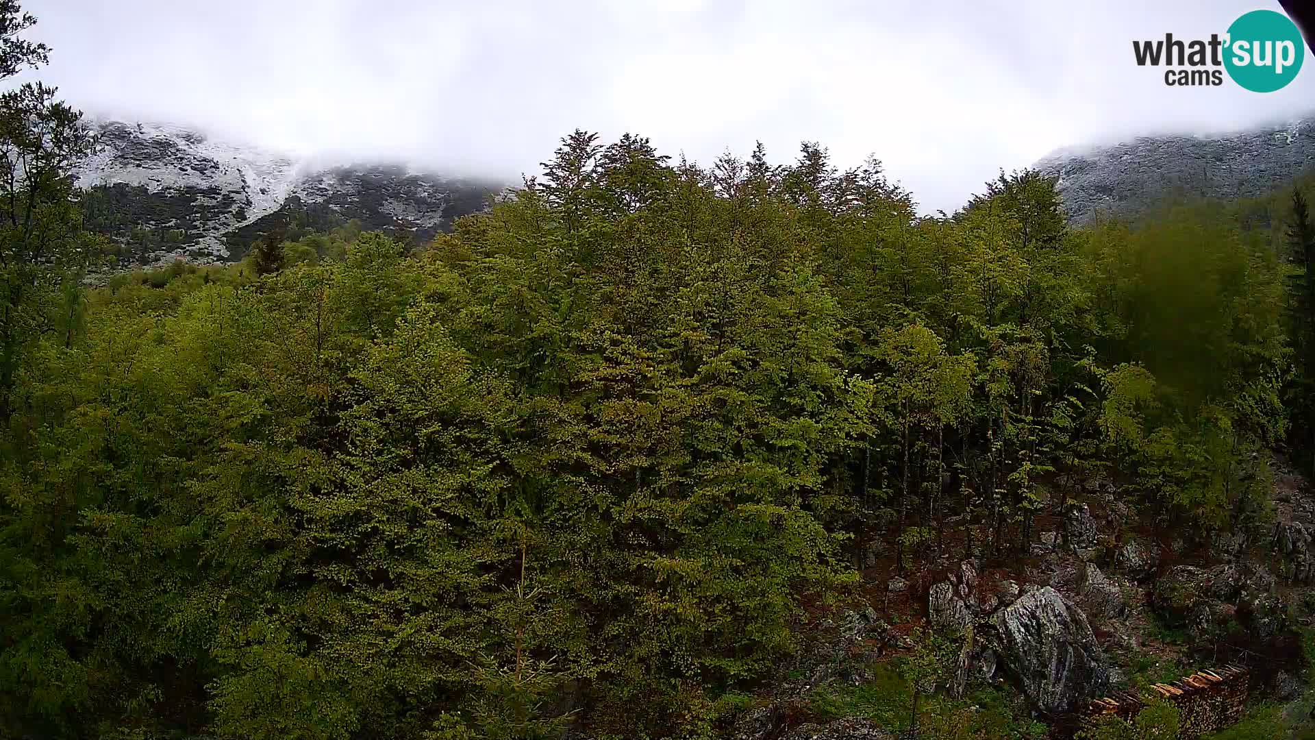 PLANINA RAZOR web kamera (1315) | pogled na Vogel i Globoko