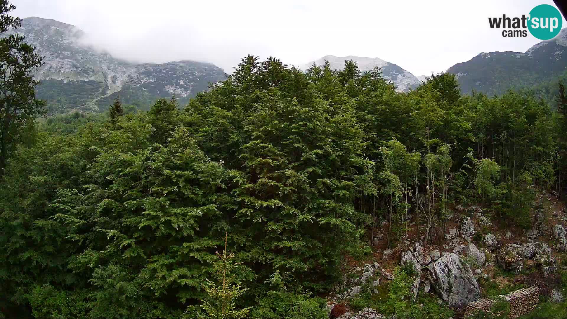 Webcam PLANINA RAZOR (1315) | Blick auf Vogel und Globoko