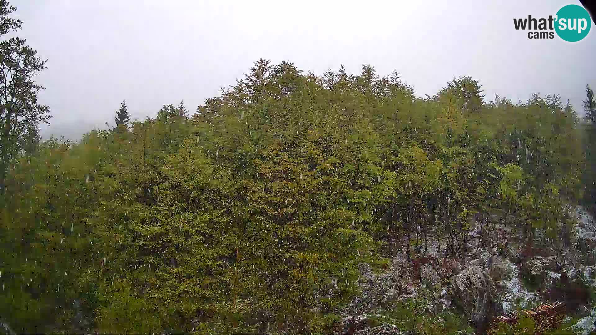 PLANINA RAZOR webcam (1315) | view to Vogel and Globoko