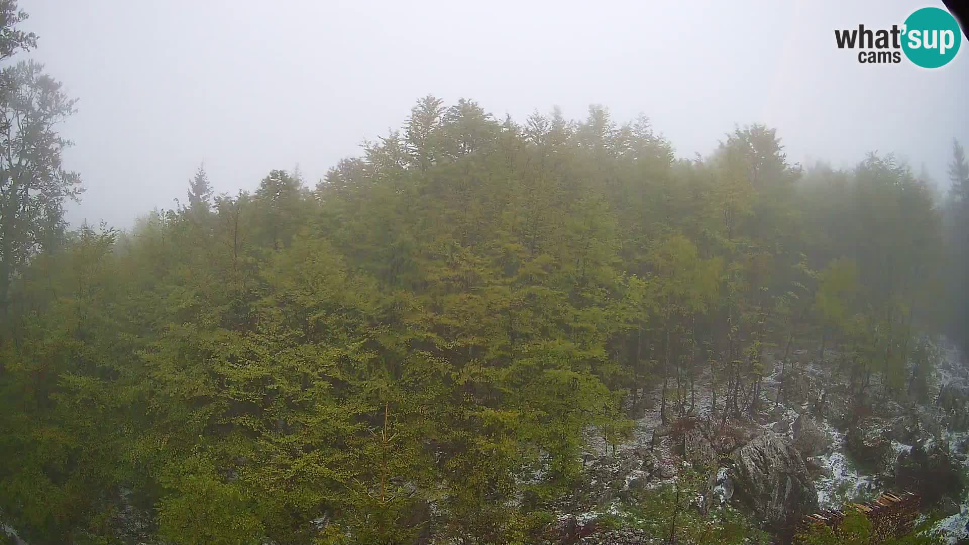 Livecam PLANINA RAZOR (1315) | vue sur Vogel et Globoko