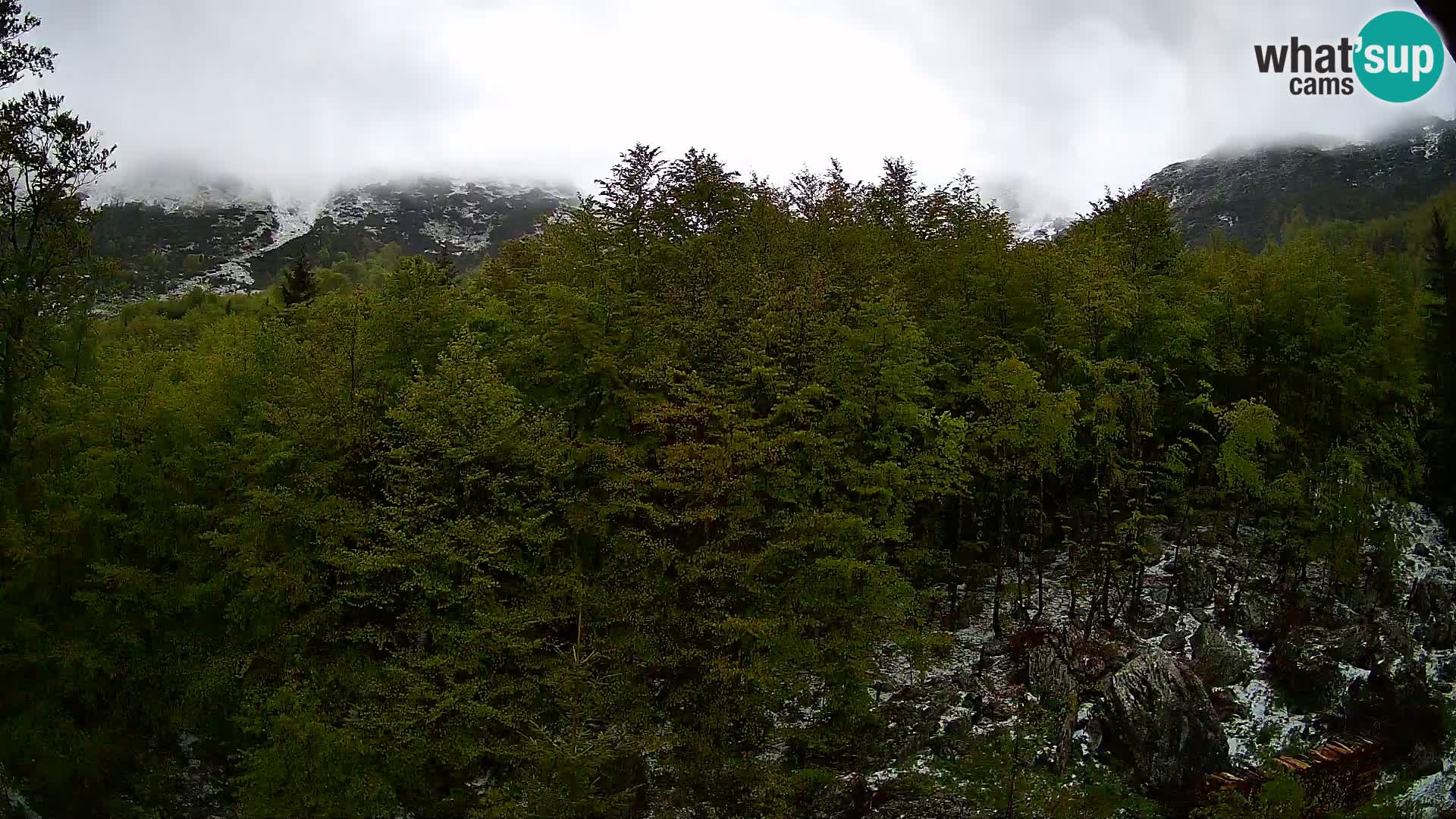 PLANINA RAZOR webcam (1315) | view to Vogel and Globoko